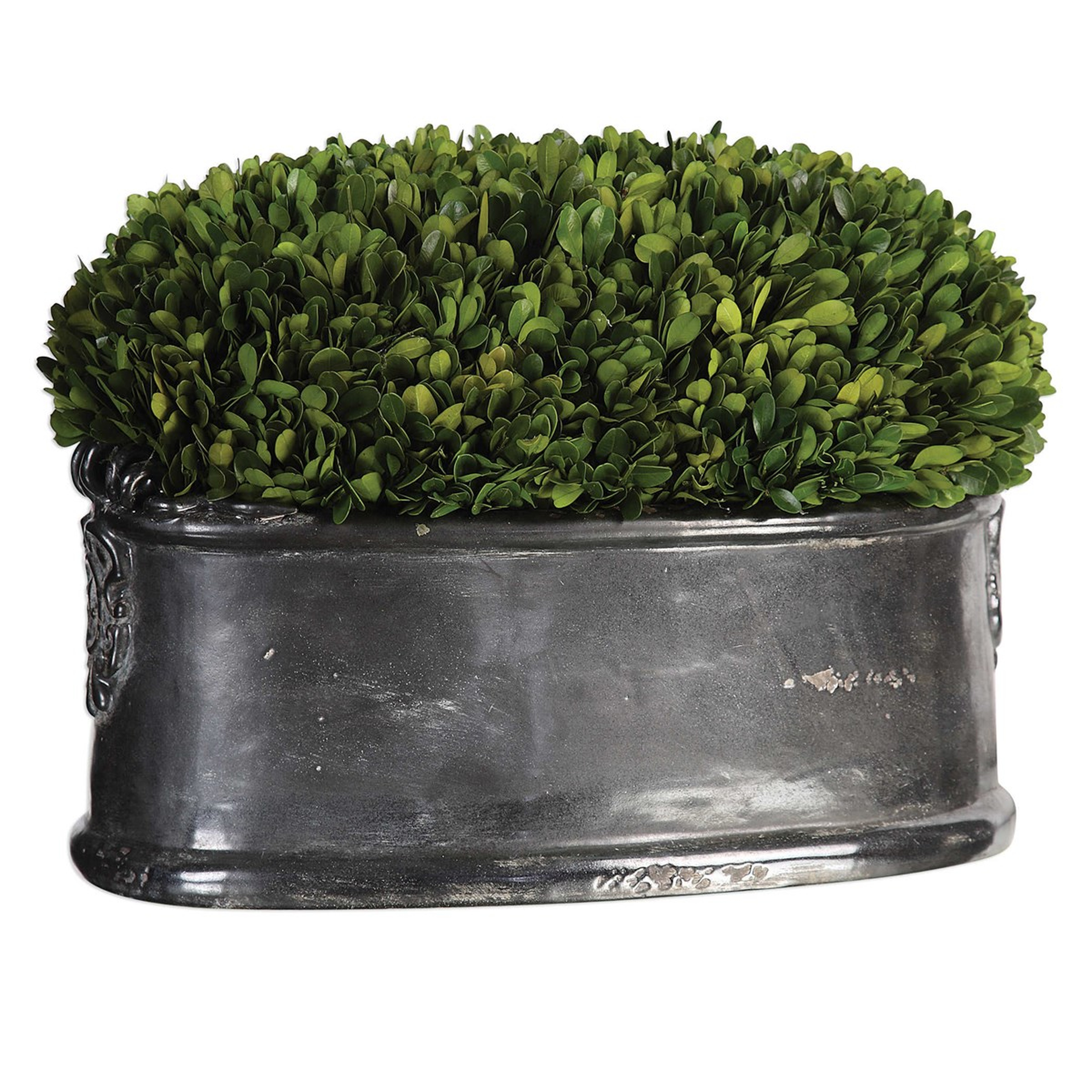 PRESERVED BOXWOOD, DOME CENTERPIECE - Hudsonhill Foundry