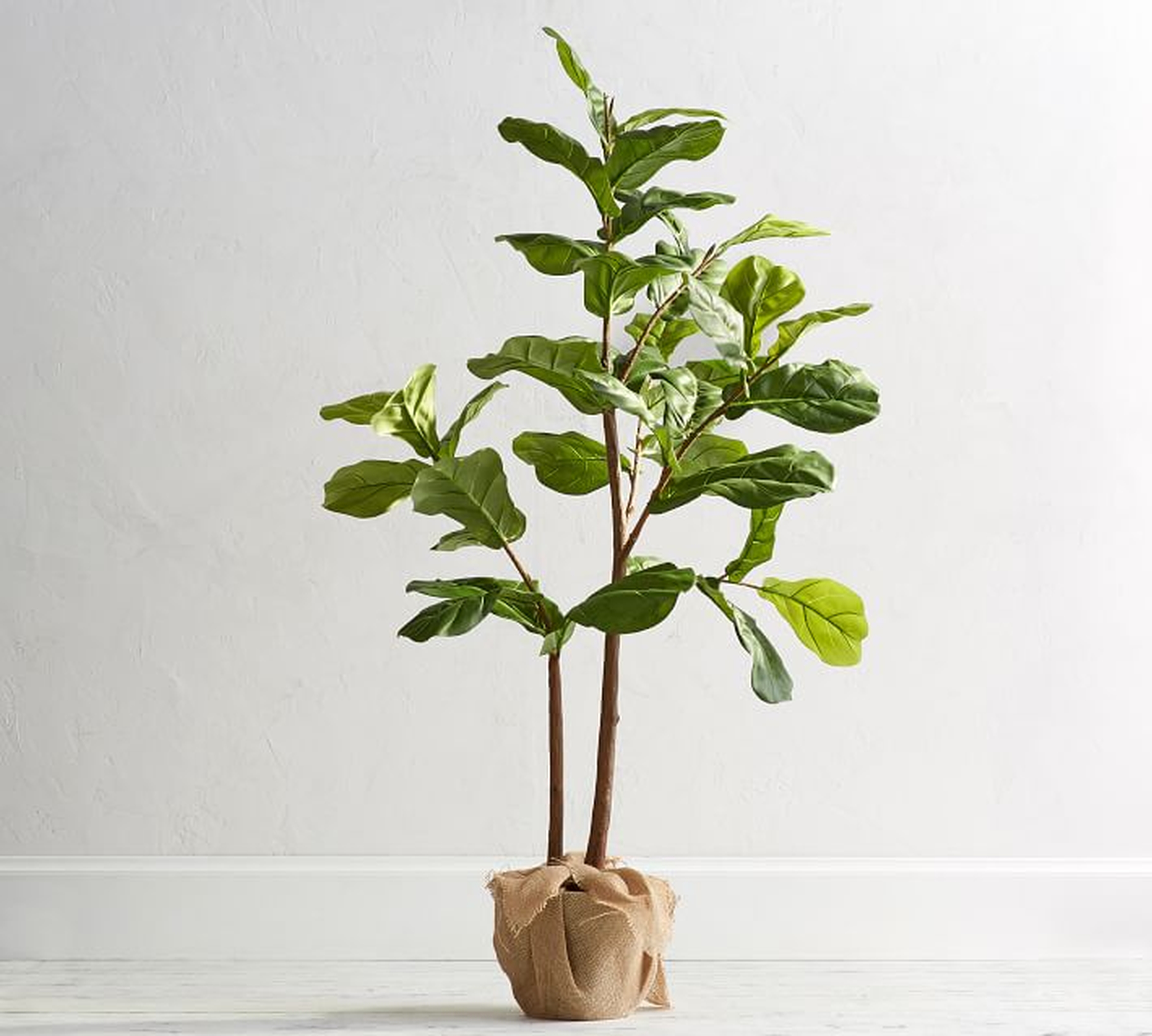 Faux Potted Fiddle Leaf Fig Tree, Small, 5' - Pottery Barn