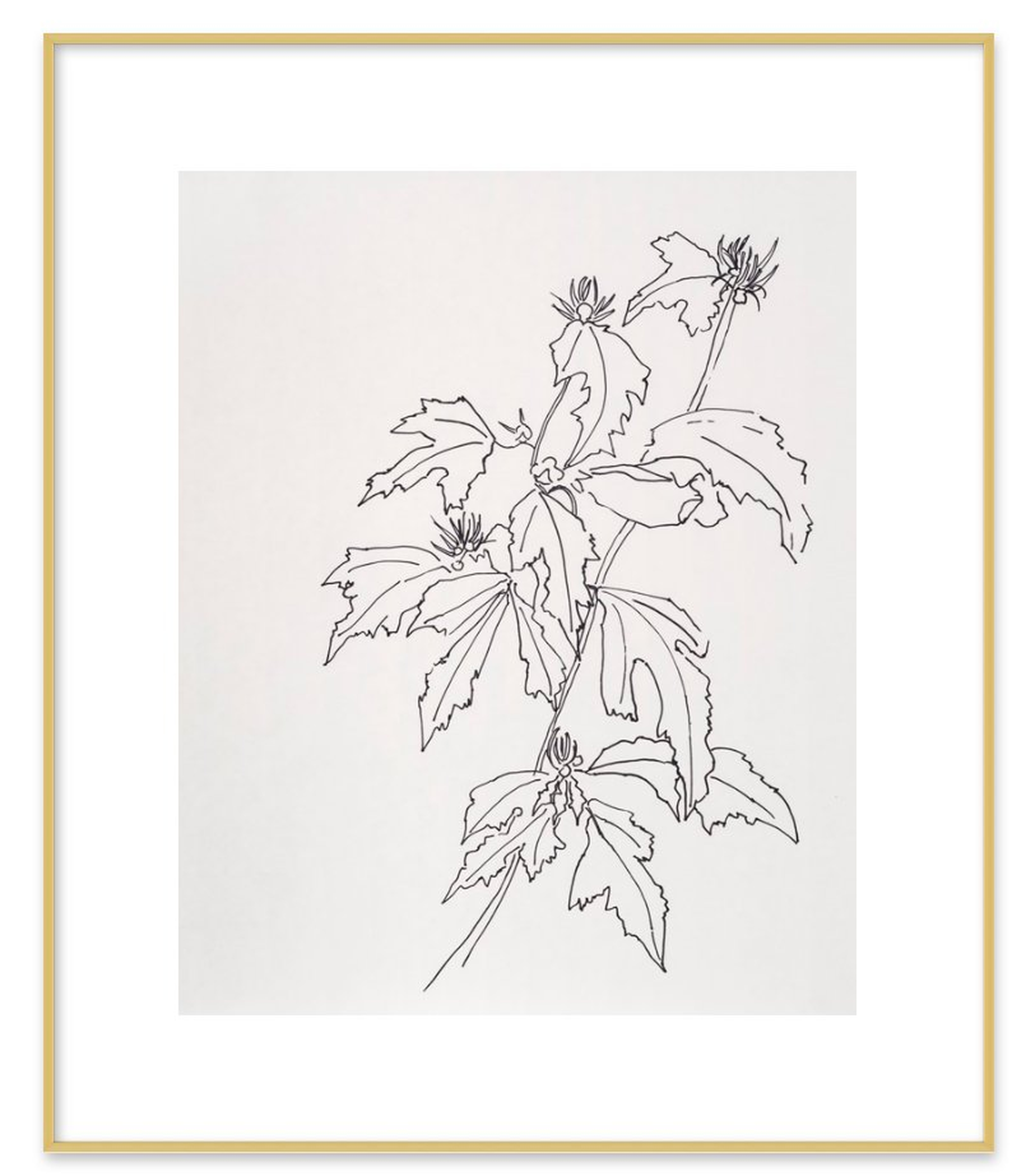 Leaves Rose of Sharon, Gold Metal Frame, 20" x 24" - Artfully Walls