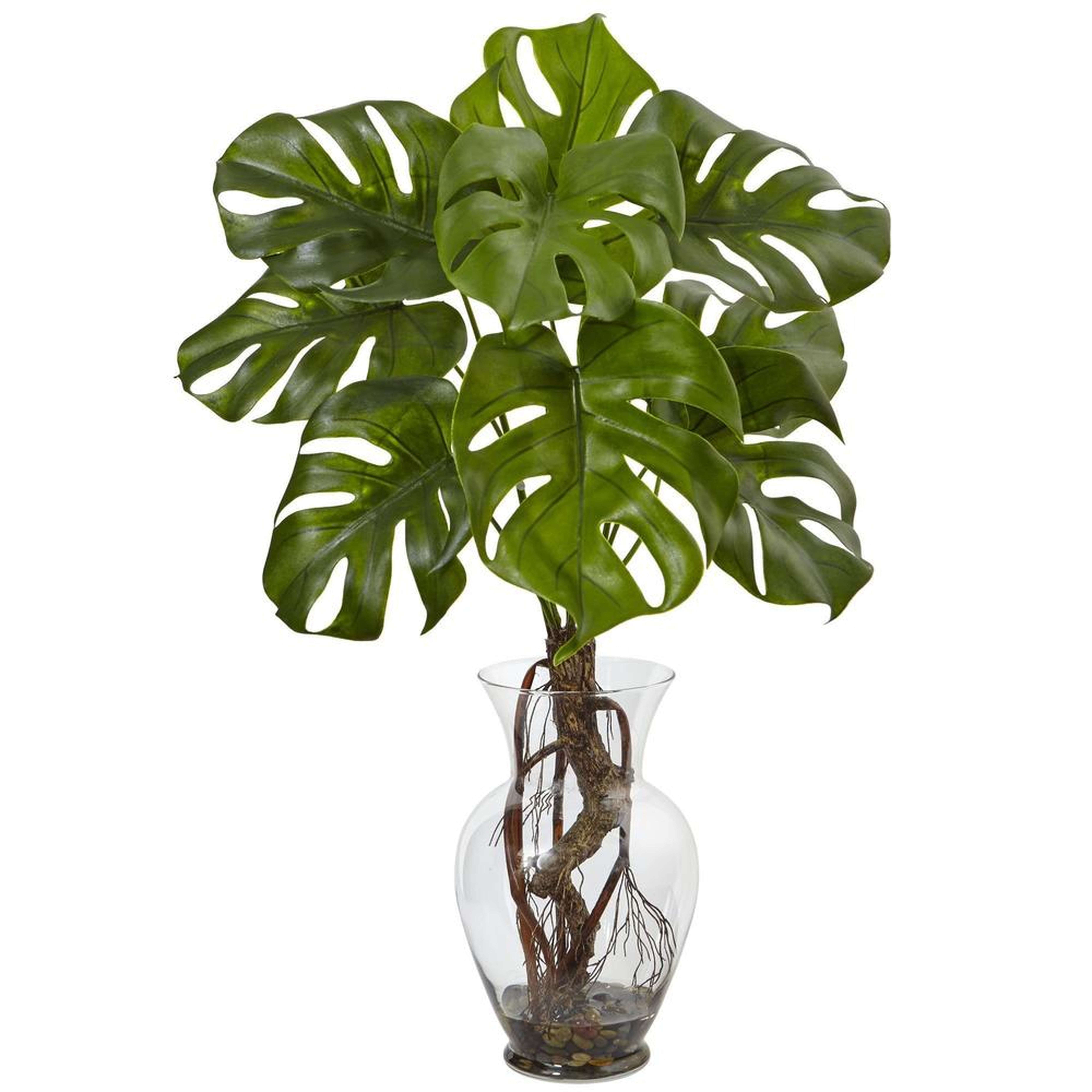 Monstera Plant with Vase - Fiddle + Bloom