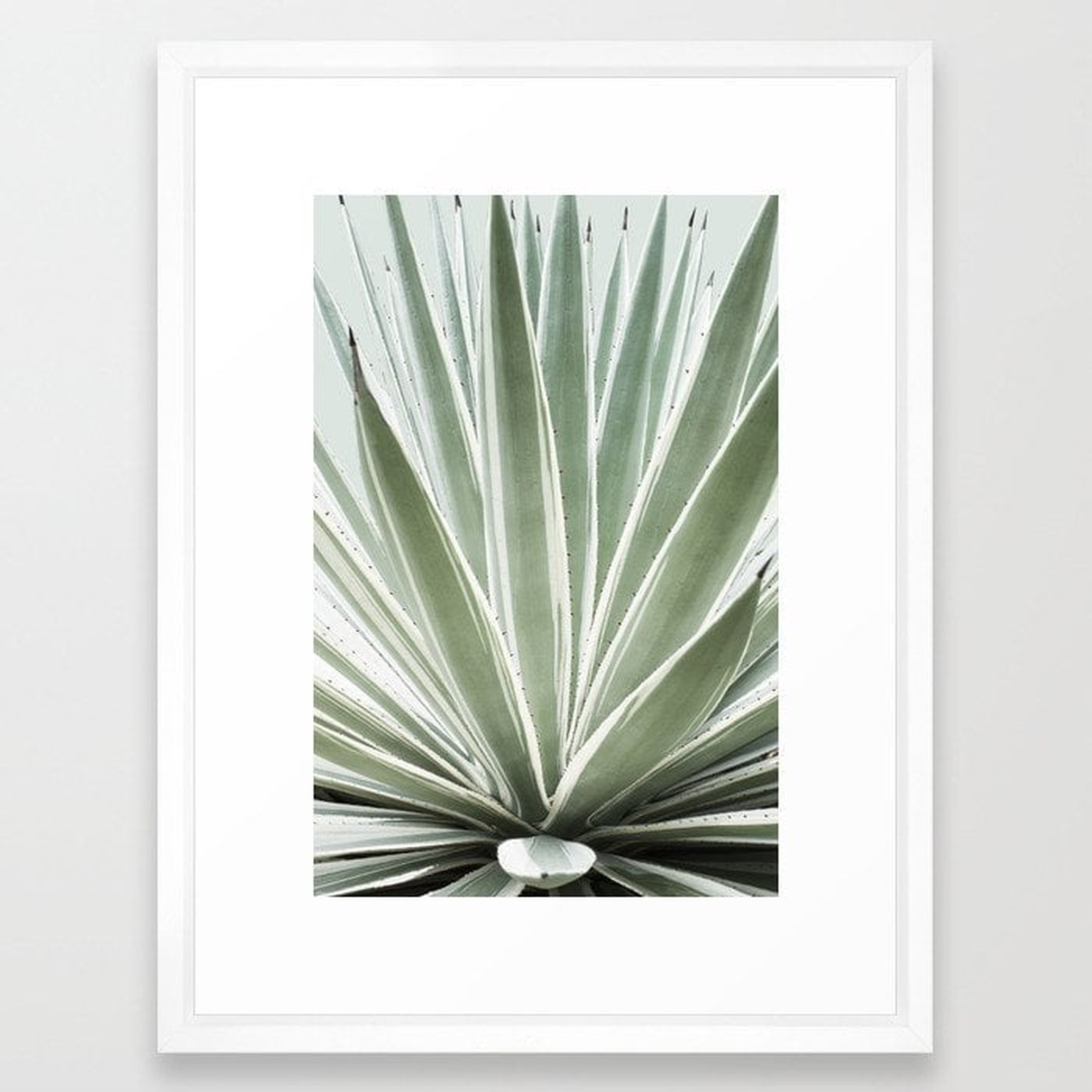 Tropical Century Plant Photography Framed Art Print 15 by Cata - Society6