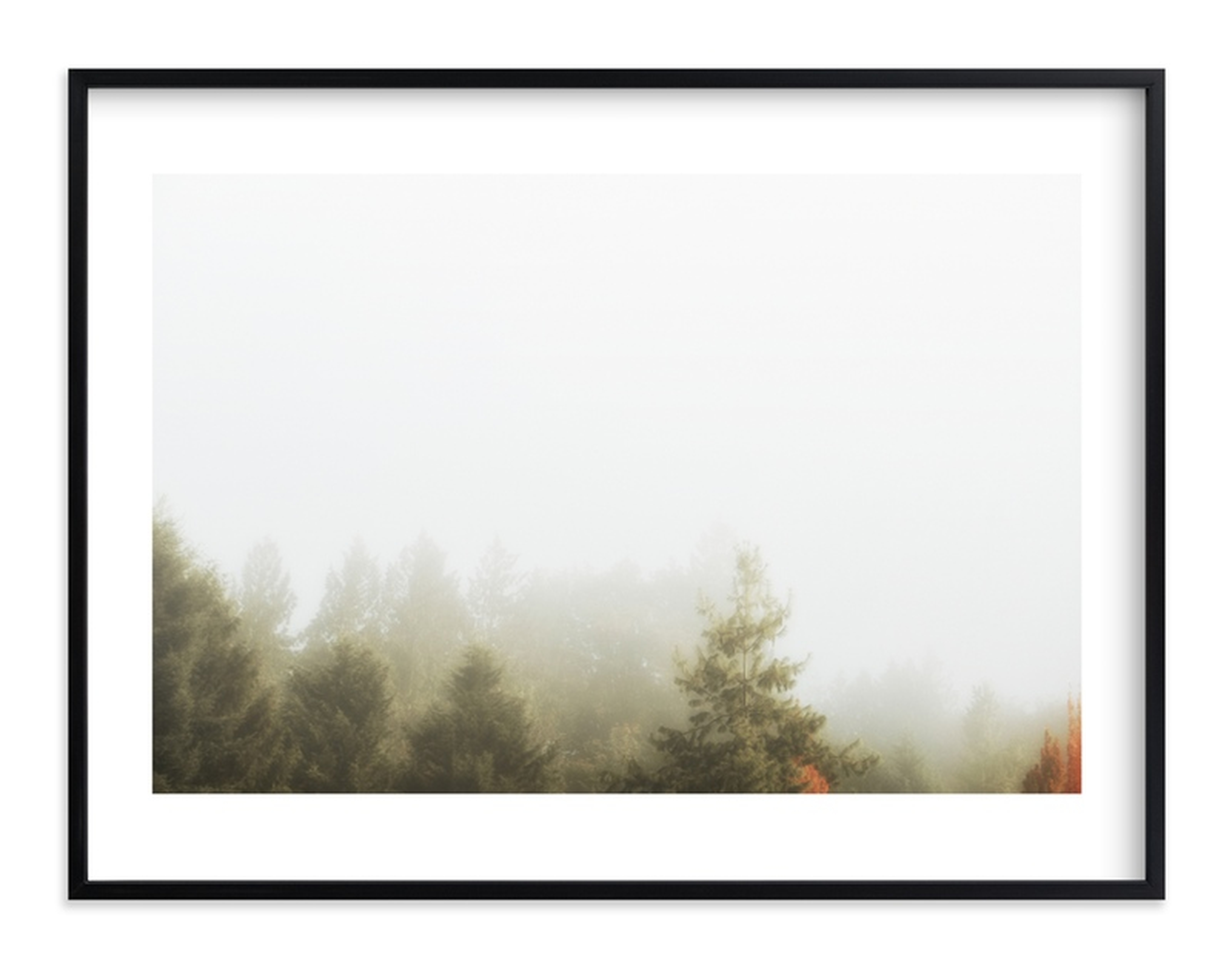 Foggy Autumn Forest Morning Limited Edition Fine Art Print - Minted