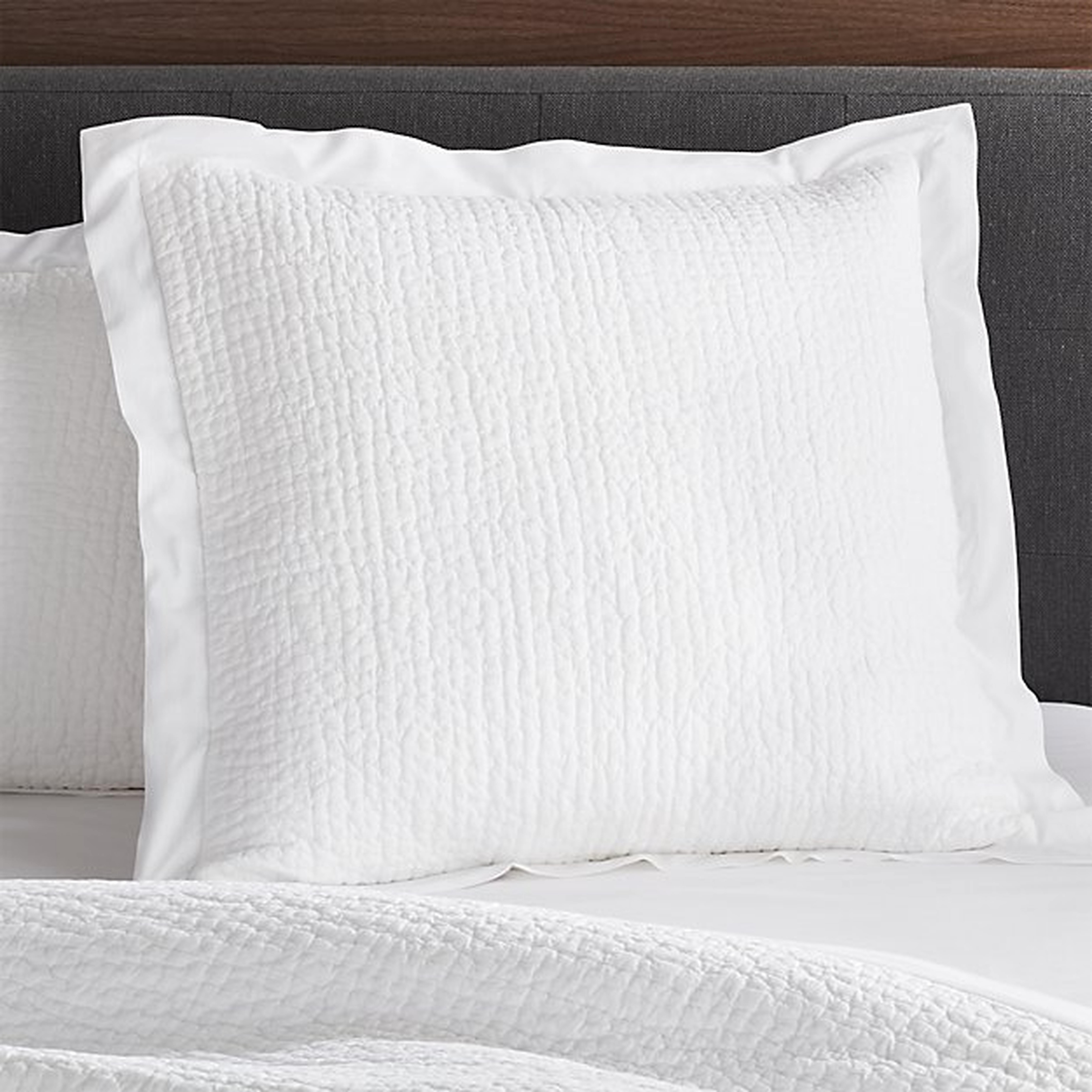 Celeste White Cotton Solid Euro Sham - Crate and Barrel