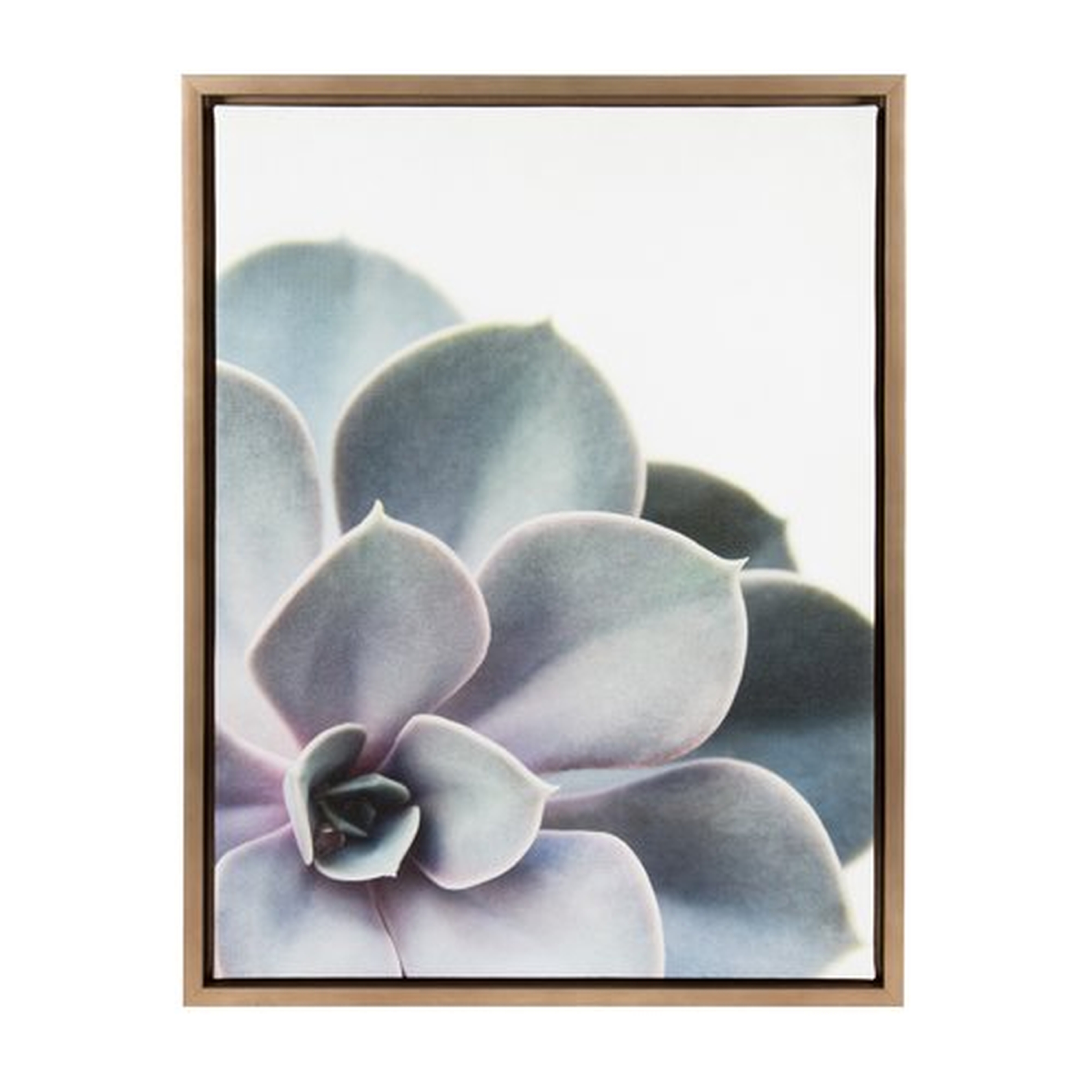 Sylvie Gold Succelent 5 by Emiko and Mark Franzen - Picture Frame Photograph Print on Canvas - AllModern