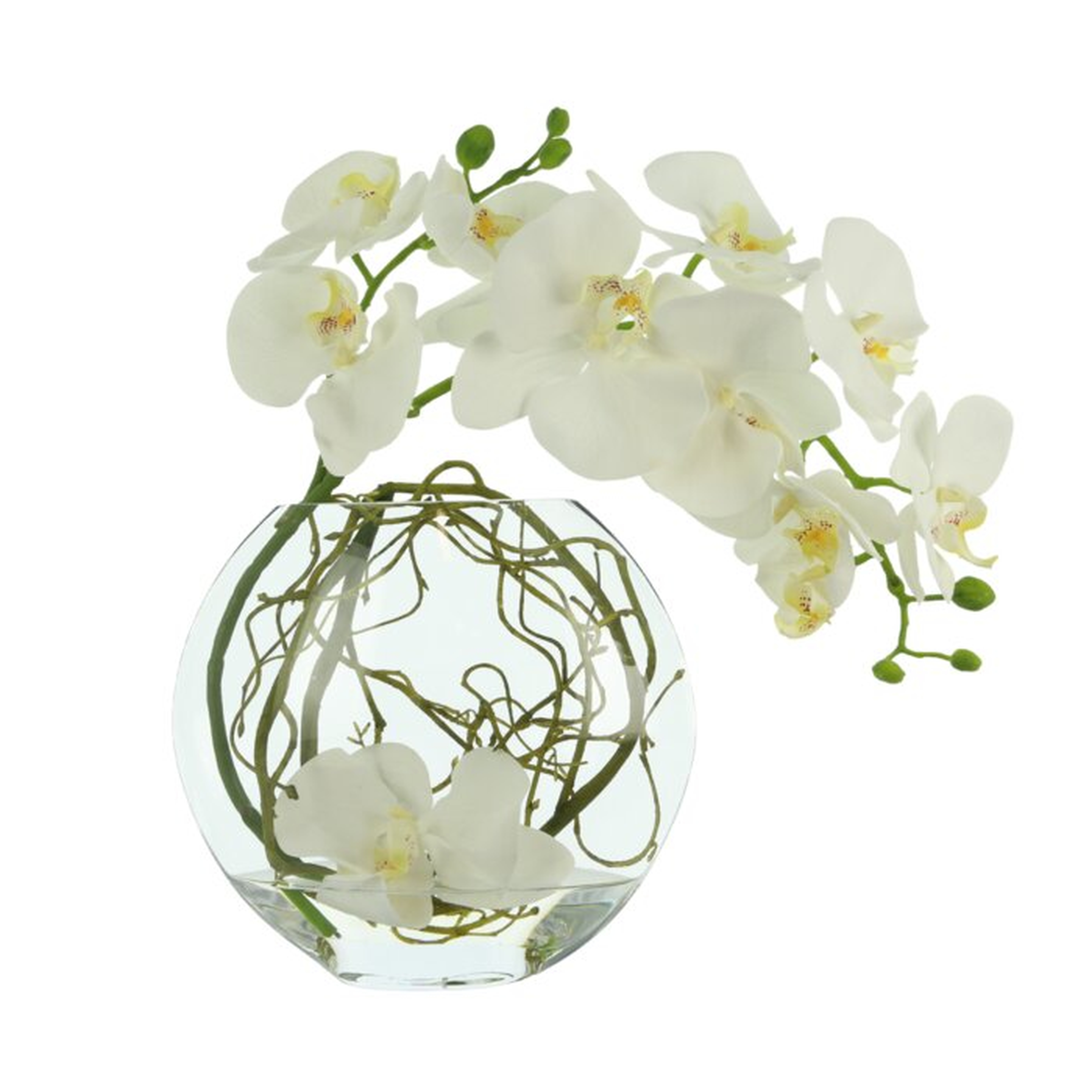 Creative Displays, Inc. Orchid with Vine Centerpiece in Vase Flowers Color: White - Perigold