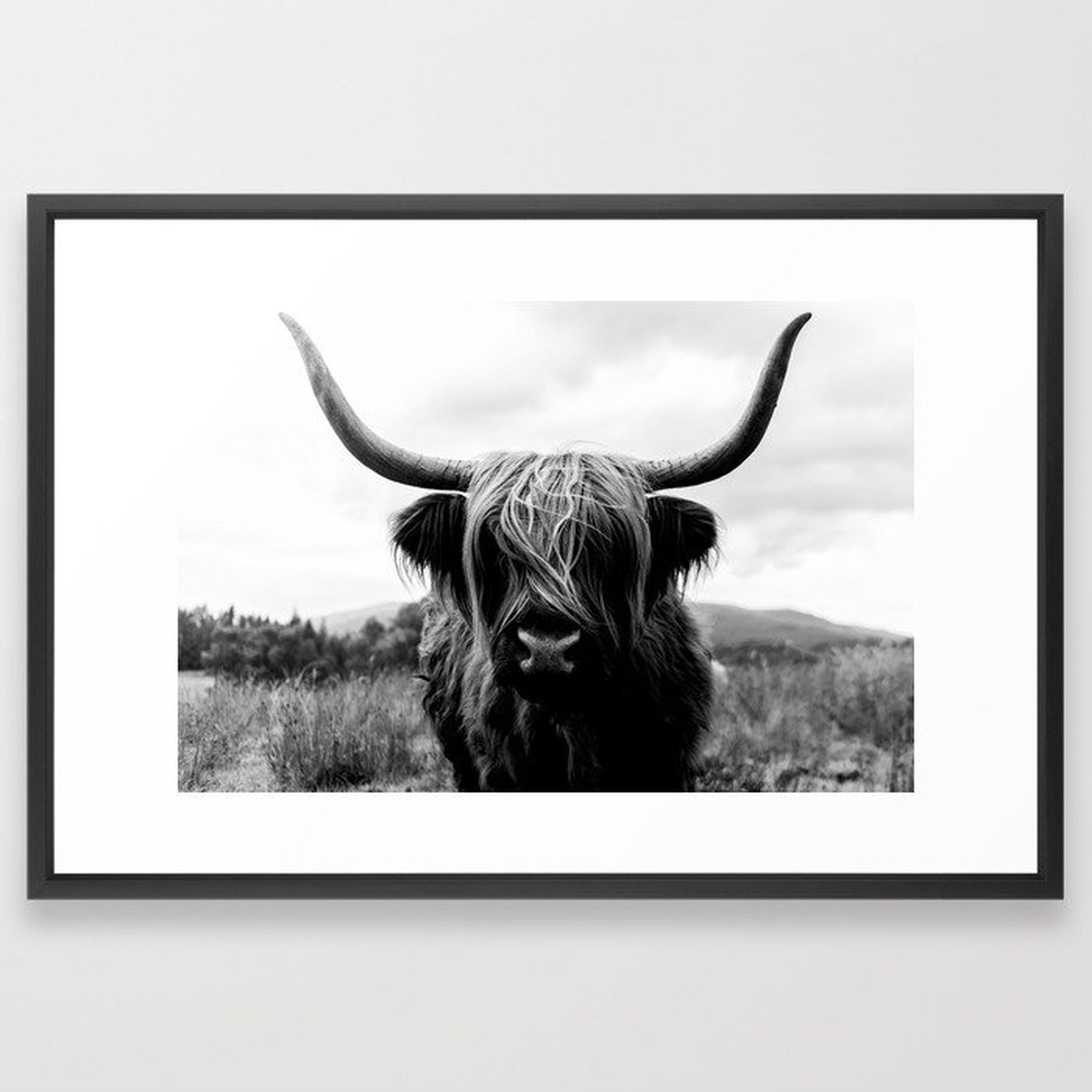 Scottish Highland Cattle Black and White Animal Framed Art Print - Society6