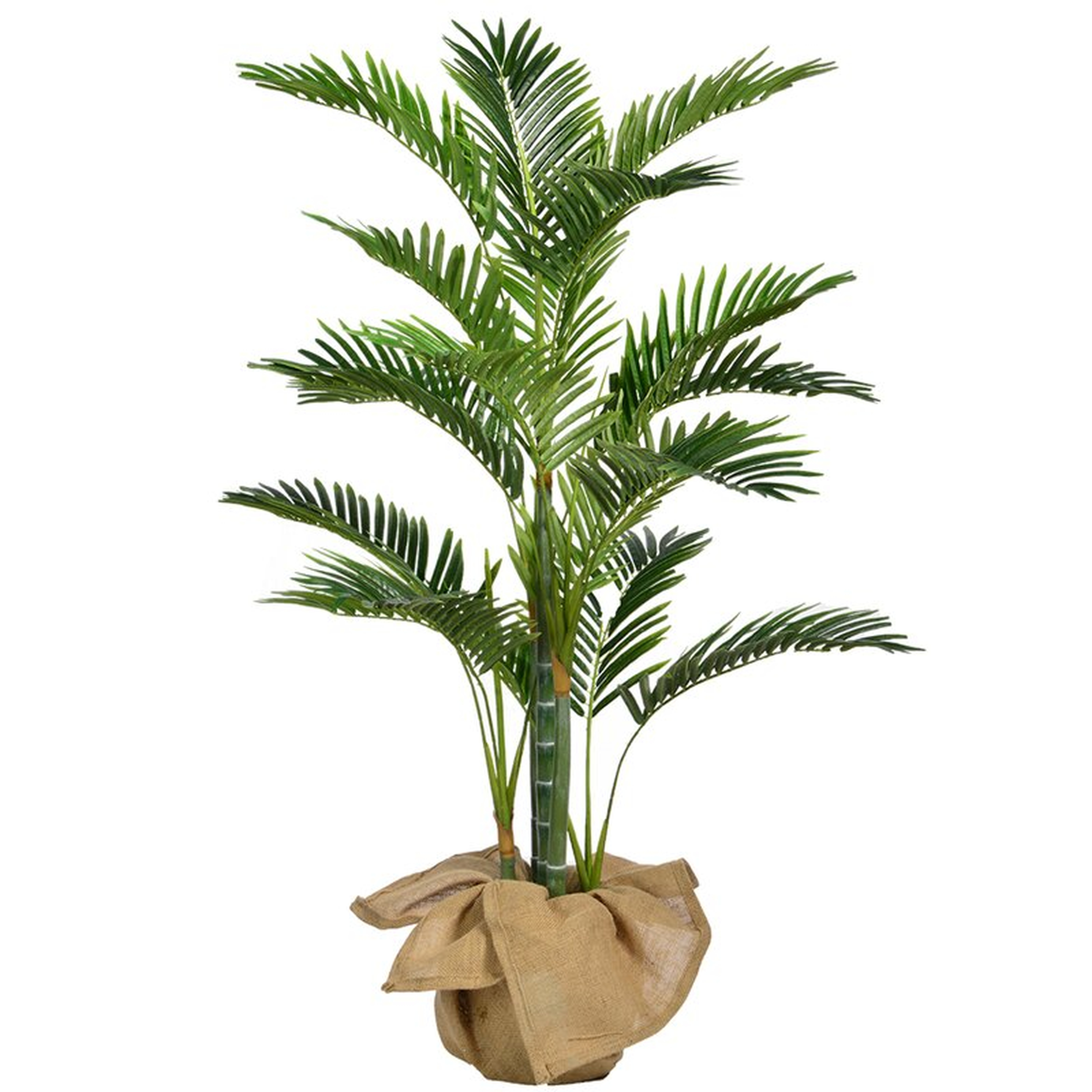 Palm Tree Plant in Pot - Wayfair