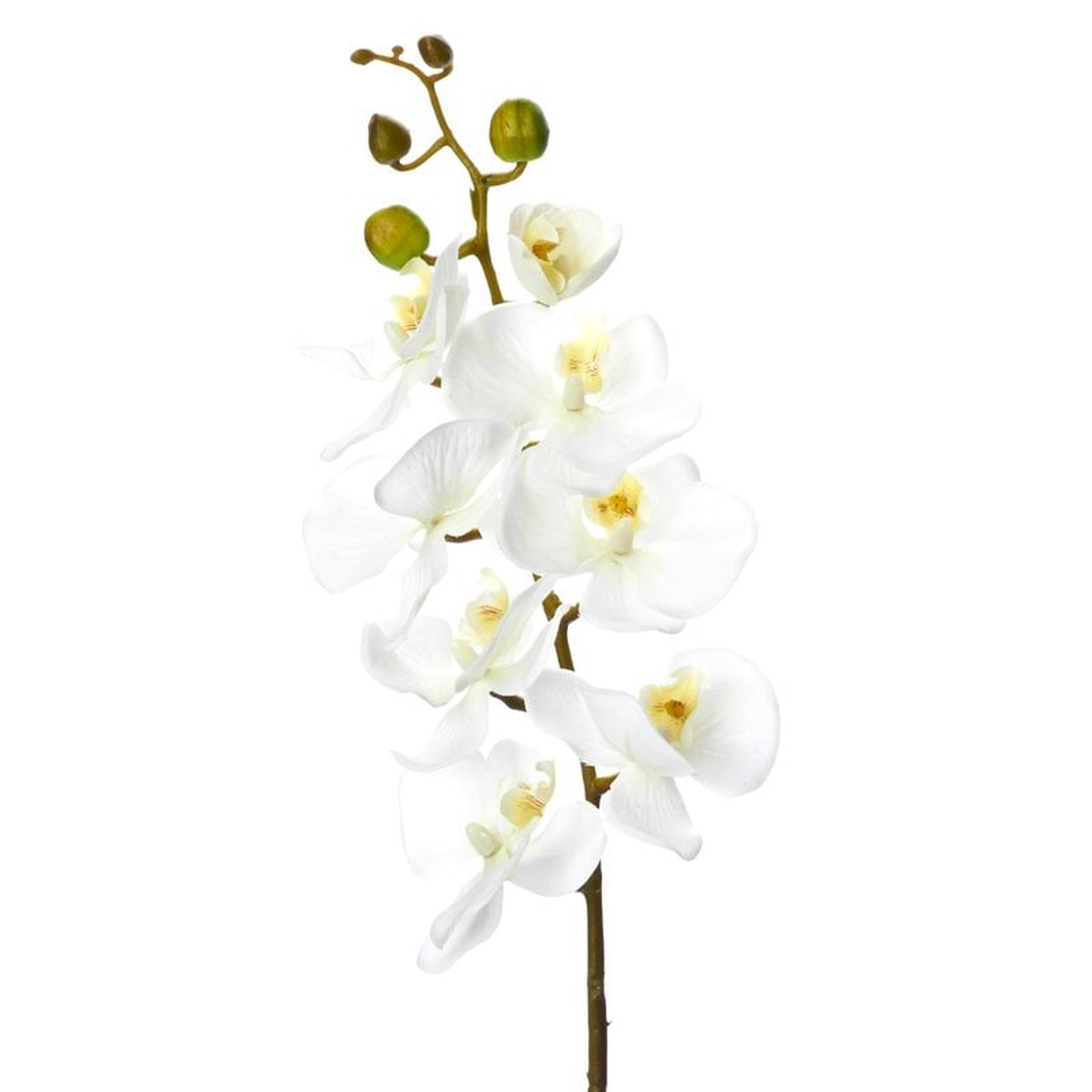 Phalaenopsis Faux Orchid Spray (Set of 12) - Wayfair