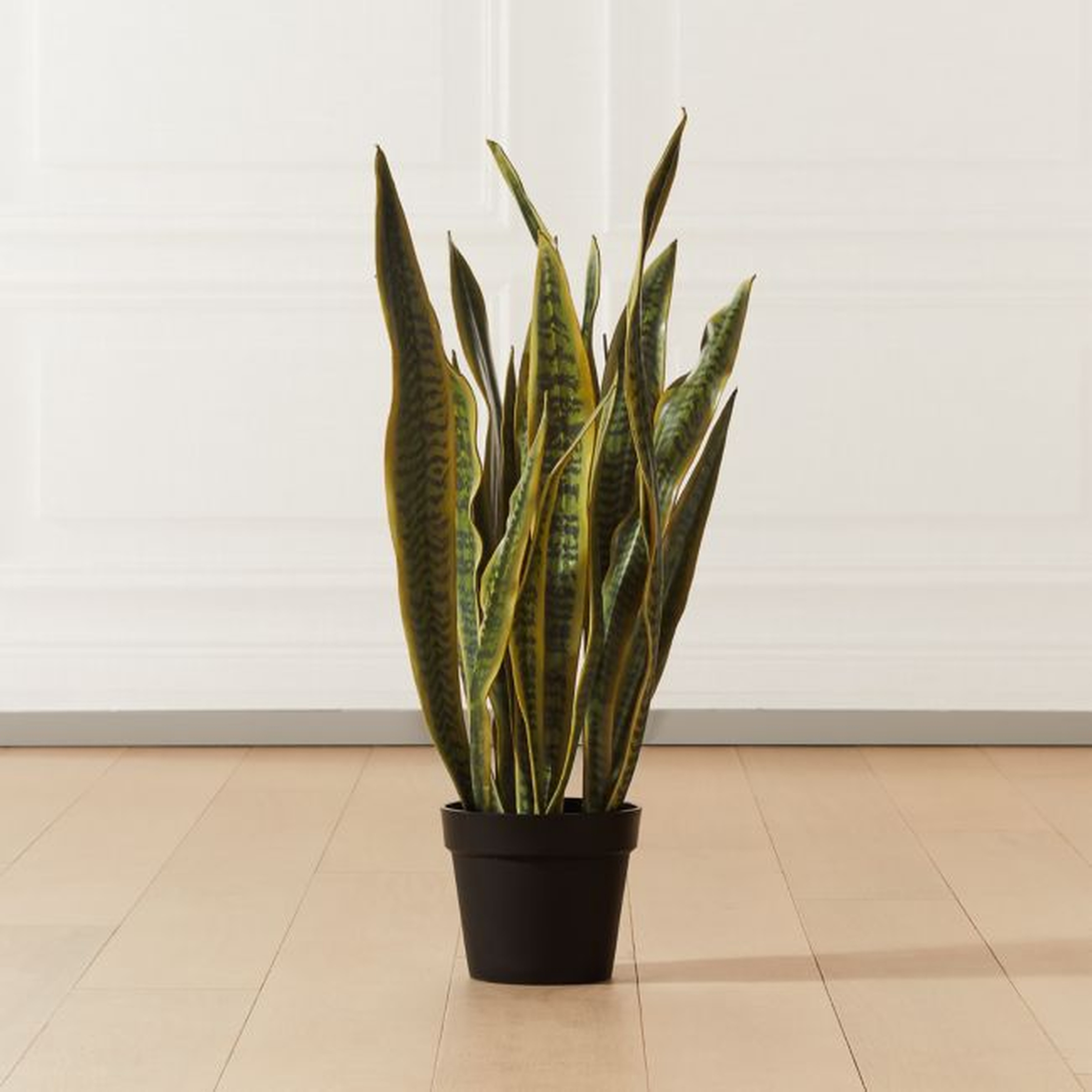 Faux Potted Snake Plant 3' - CB2