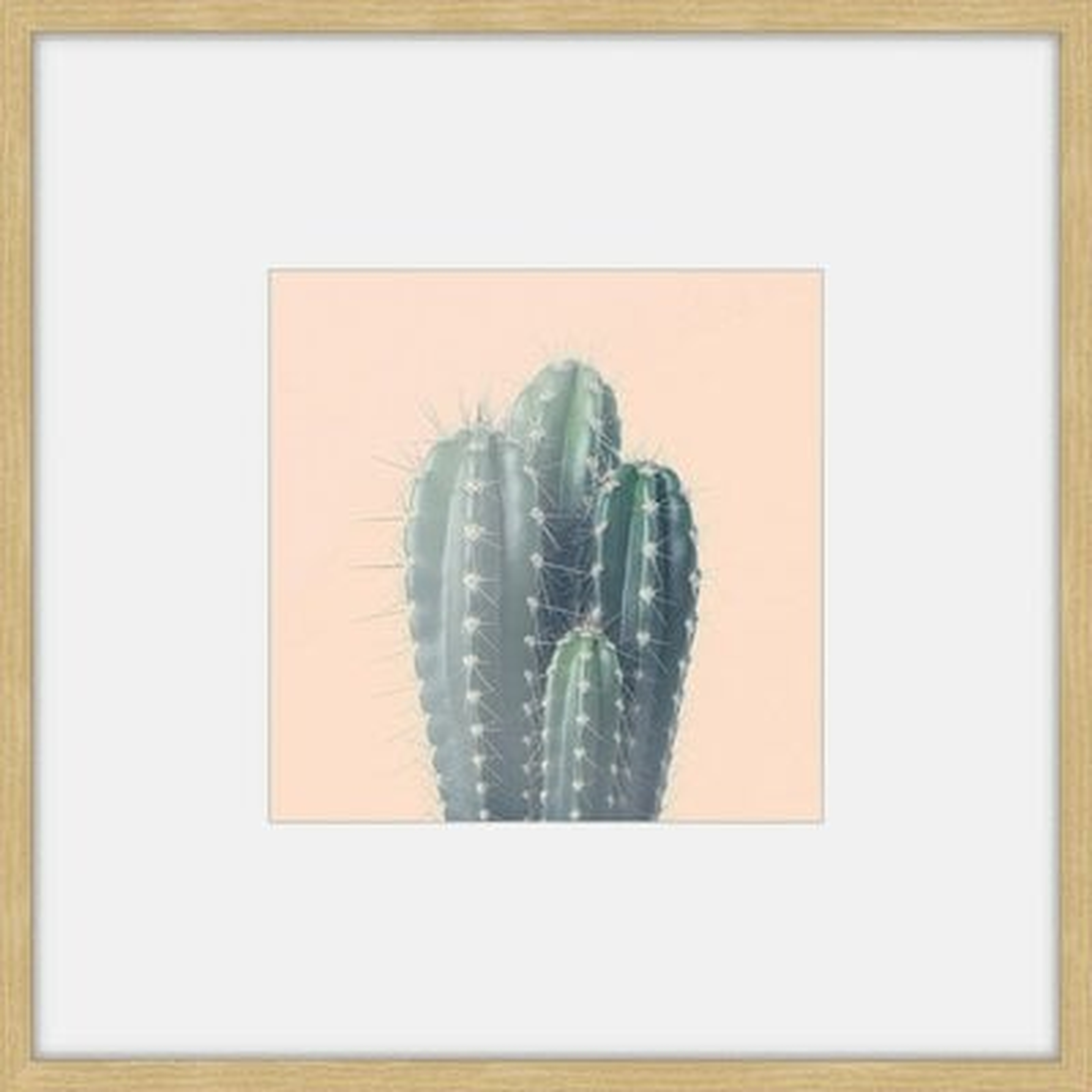 'Green Cacti' Framed Photographic Print - AllModern