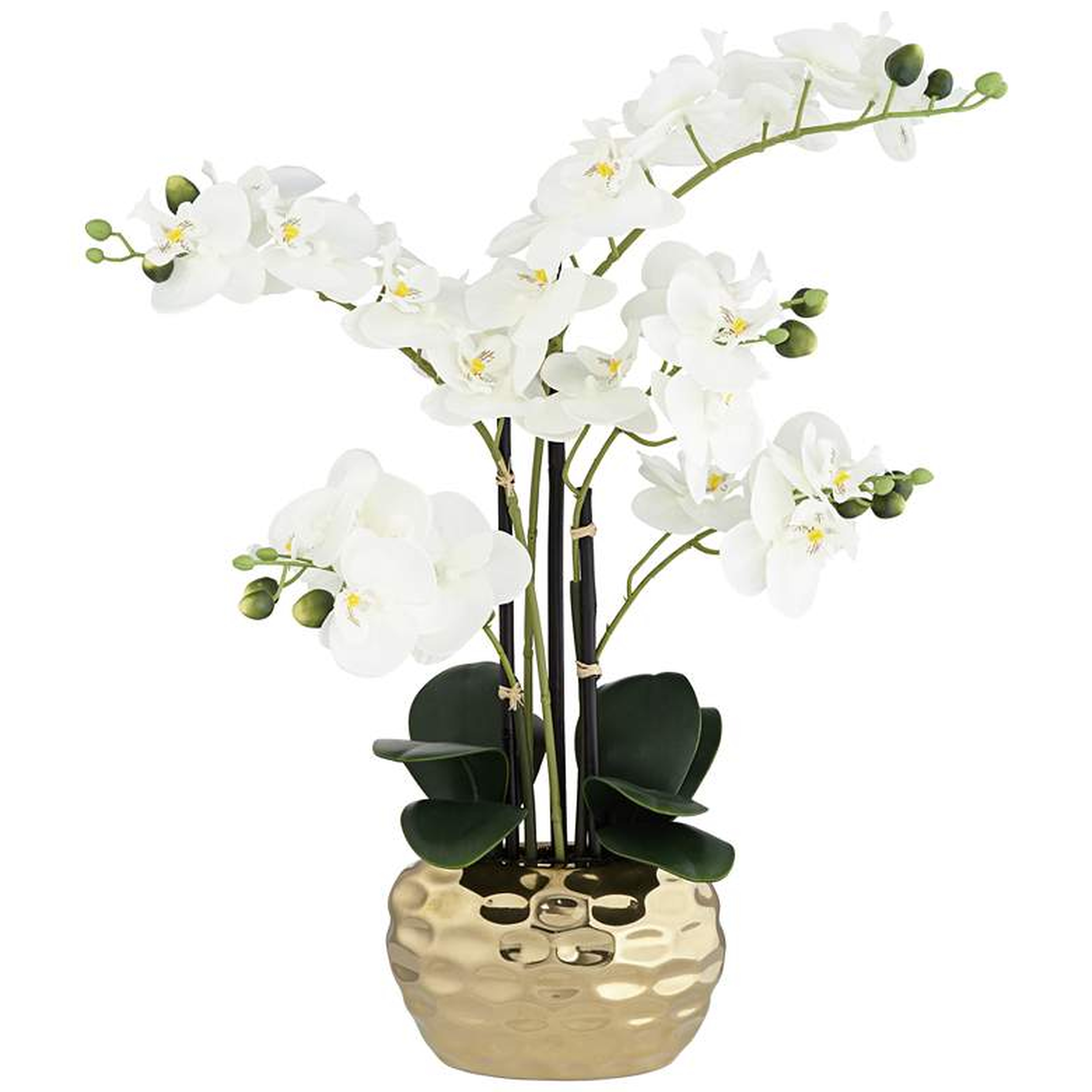 White Phalaenopsis 23"H Faux Orchid in Gold Ceramic Pot - Lamps Plus