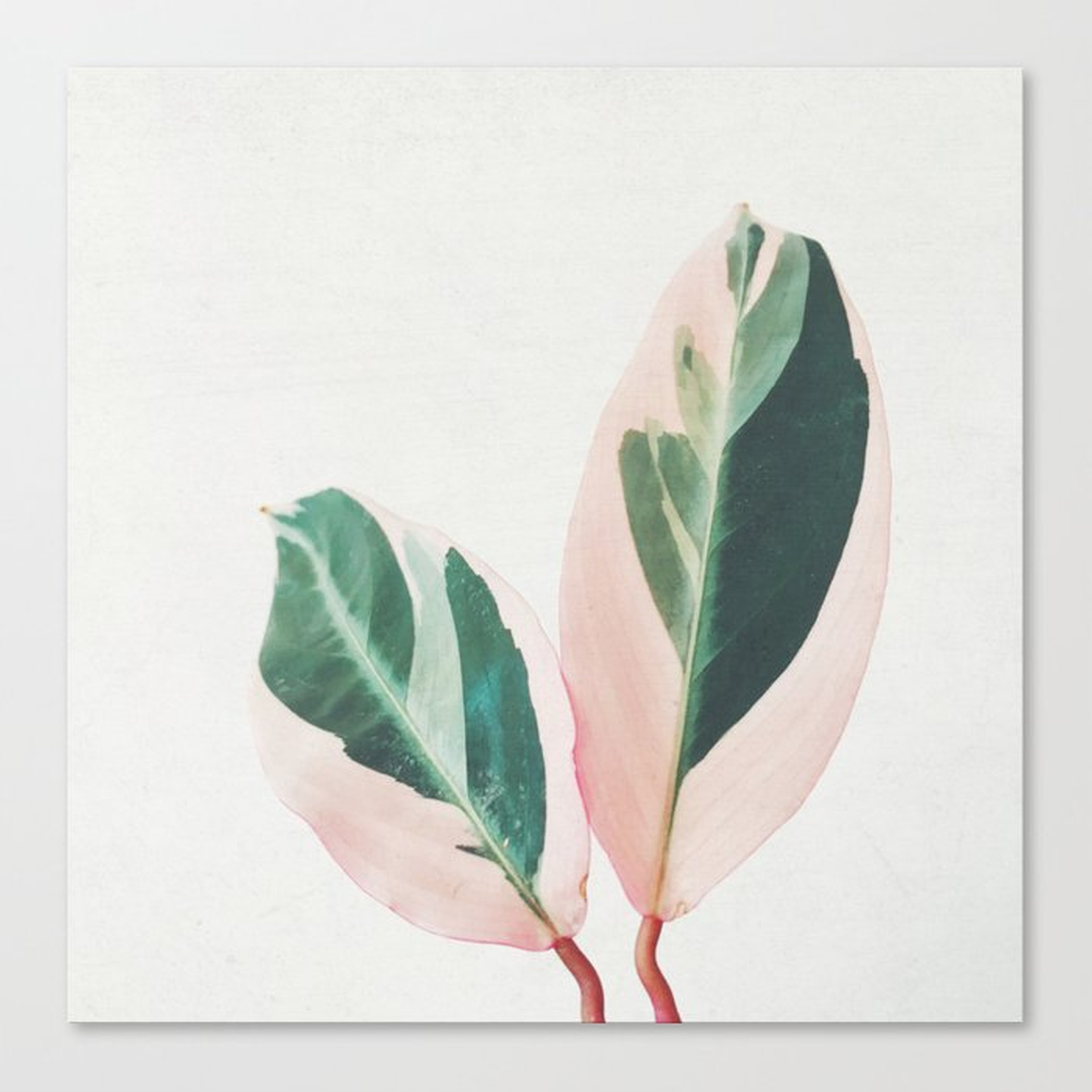 Pink Leaves Canvas 18x18 - Society6