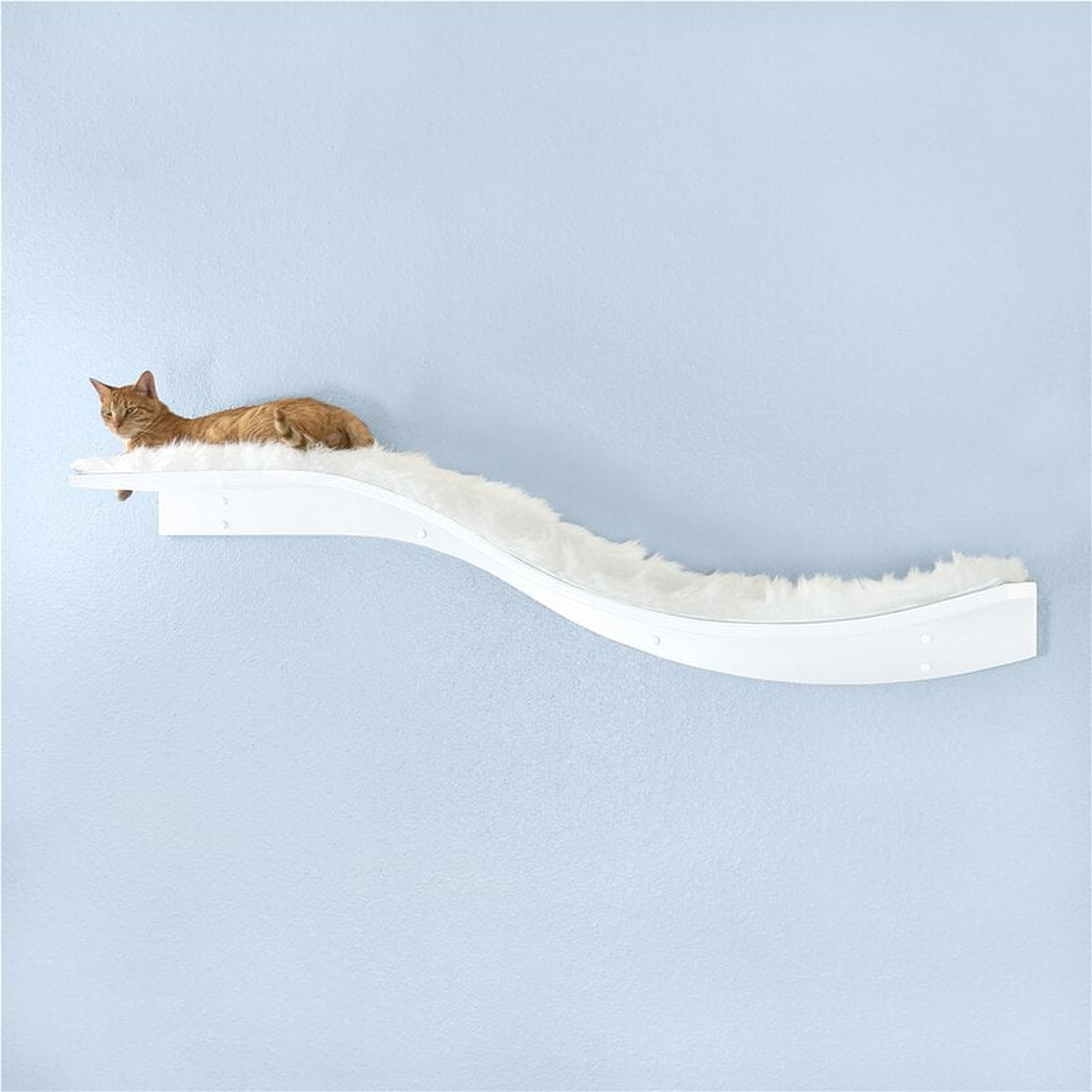 12" Cleopatra Branch Cat Perch - Wayfair