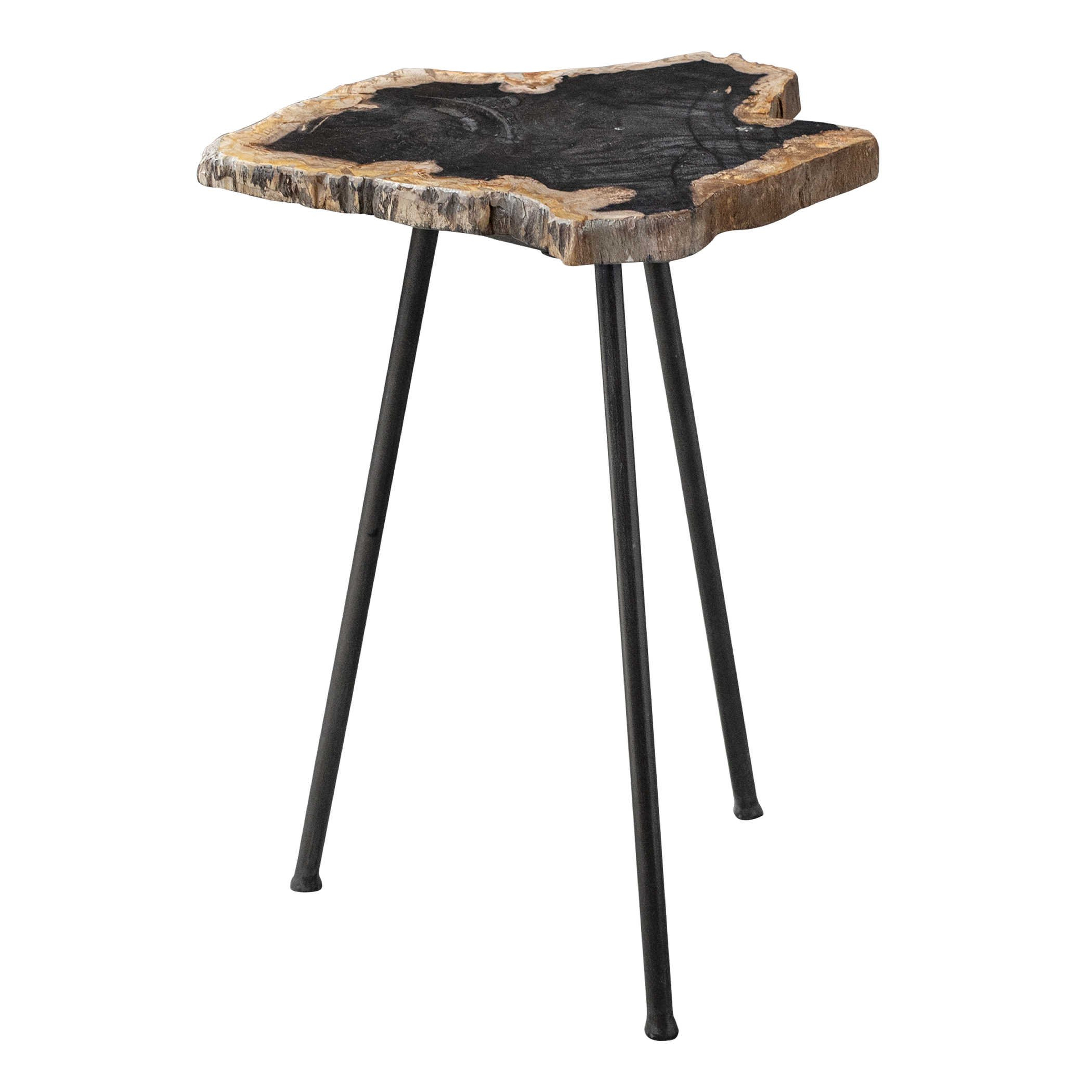 Mircea Petrified Wood Accent Table - Hudsonhill Foundry