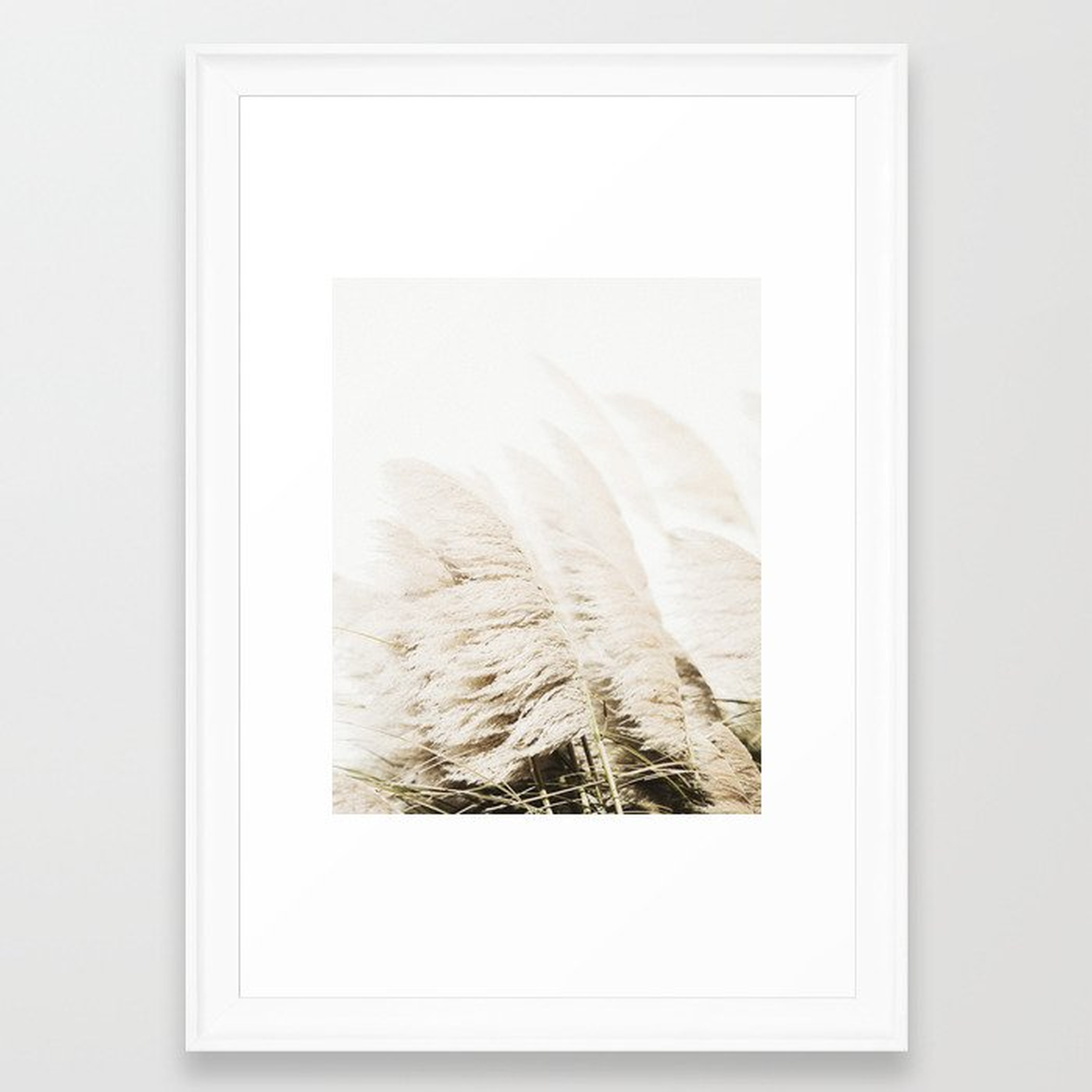 Pampas Grass Framed Art Print - Society6