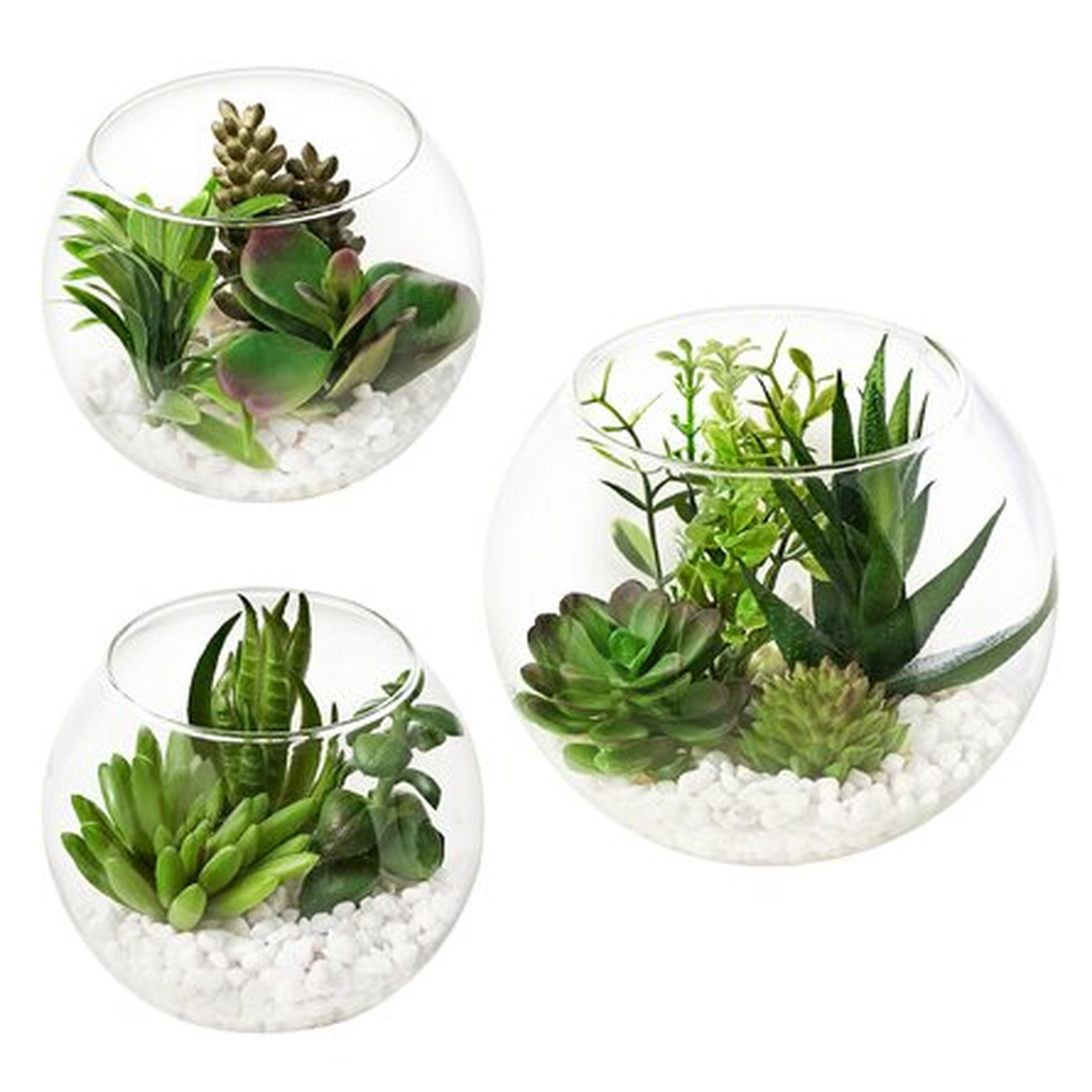 3 Piece Artificial Succulent Plant in Pot Set - Wayfair