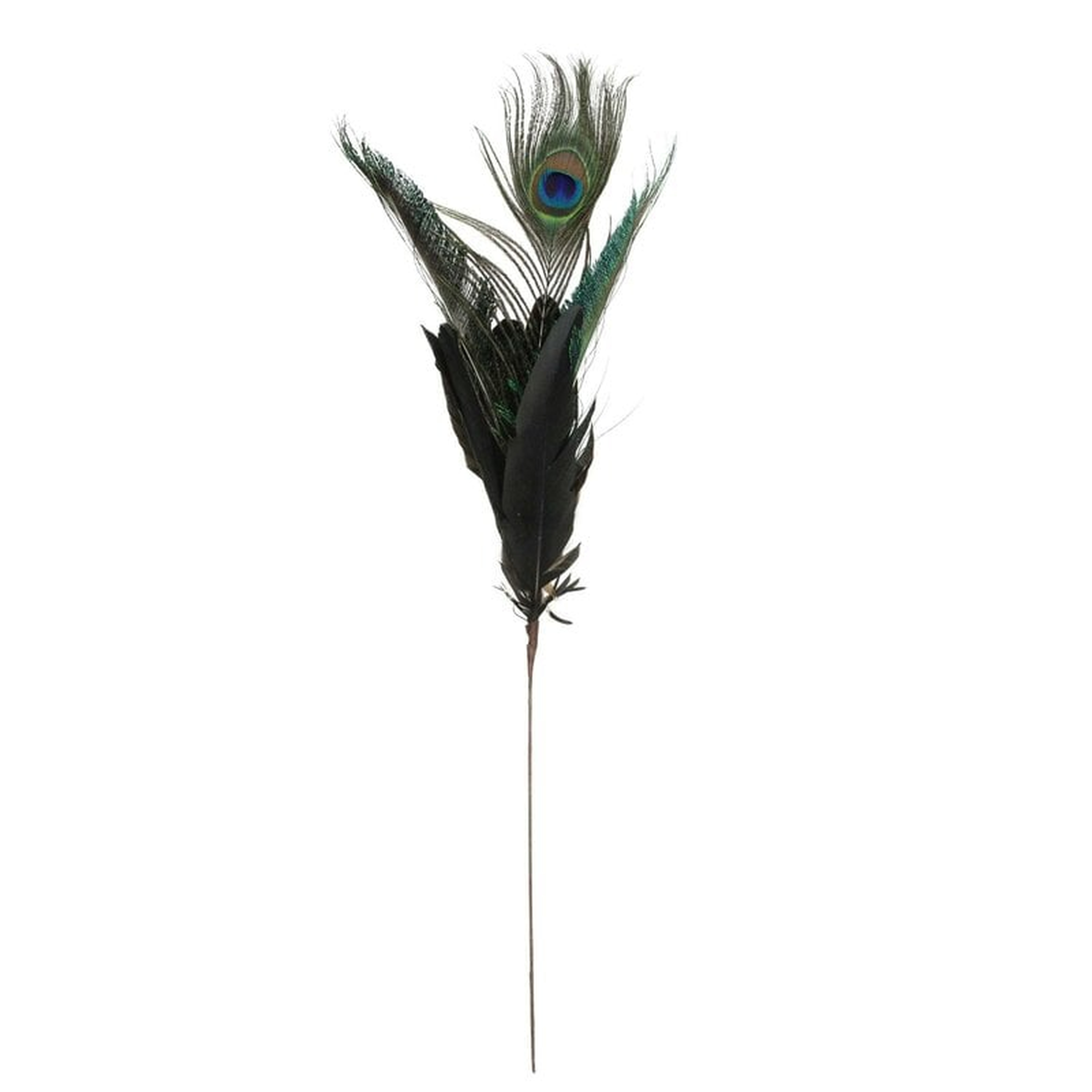 Christmas Peacock Feather Pick - Wayfair