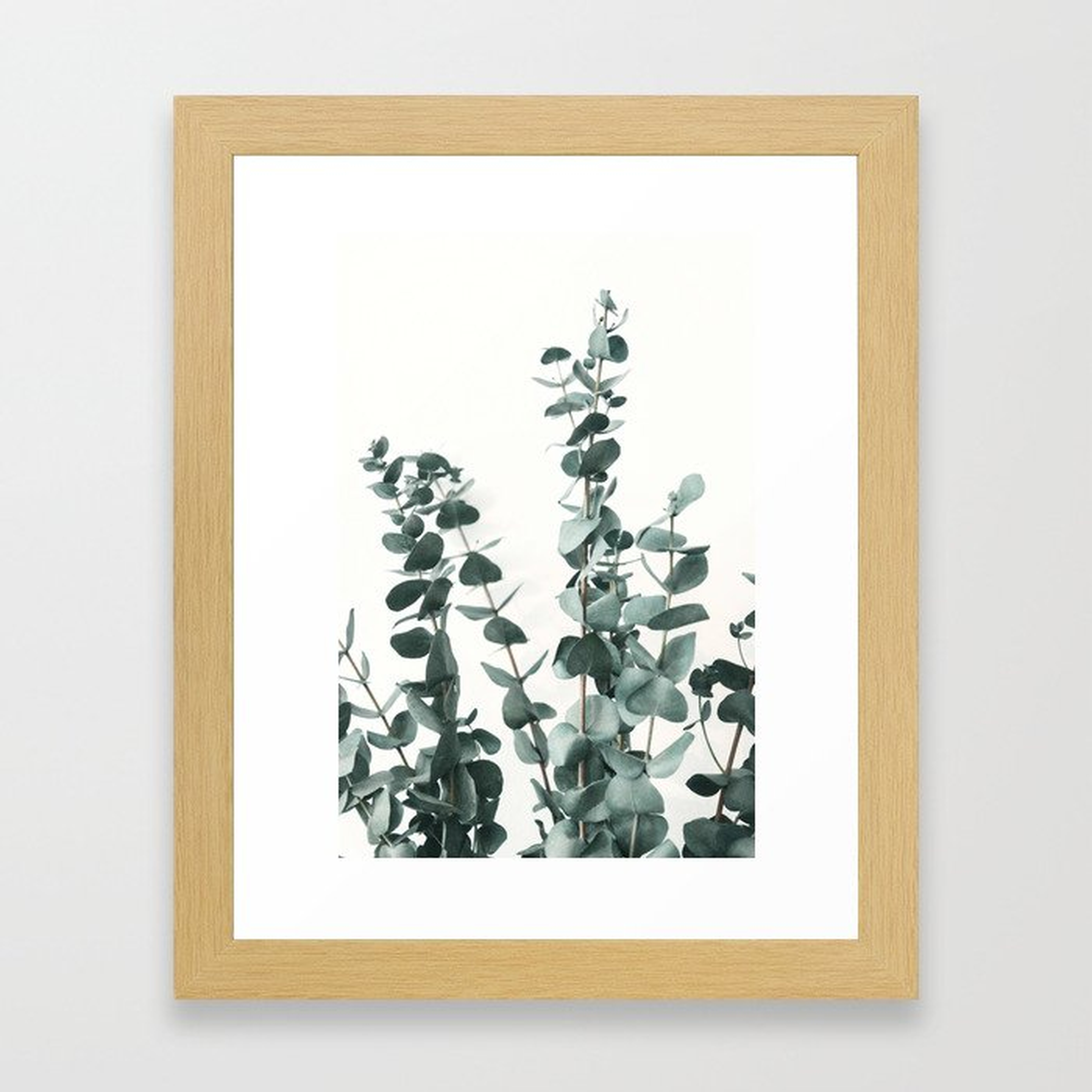Eucalyptus Leaves Framed Art Print-  10" x 12" - Conservation Natural Frame - Society6