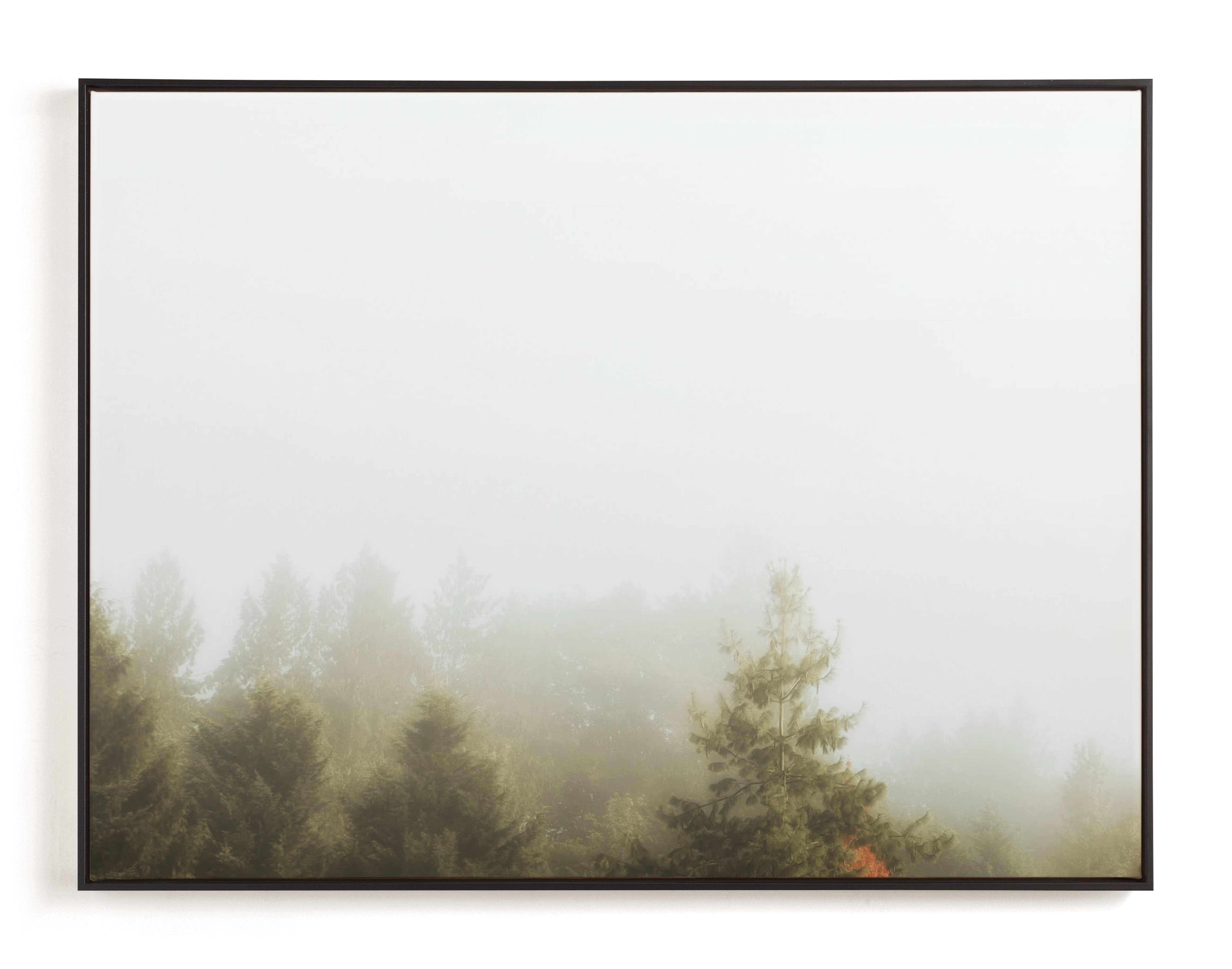 Foggy Autumn Forest Morning, 40 x 30, Canvas, Black Wood Frame, Gallery Wrap - Minted