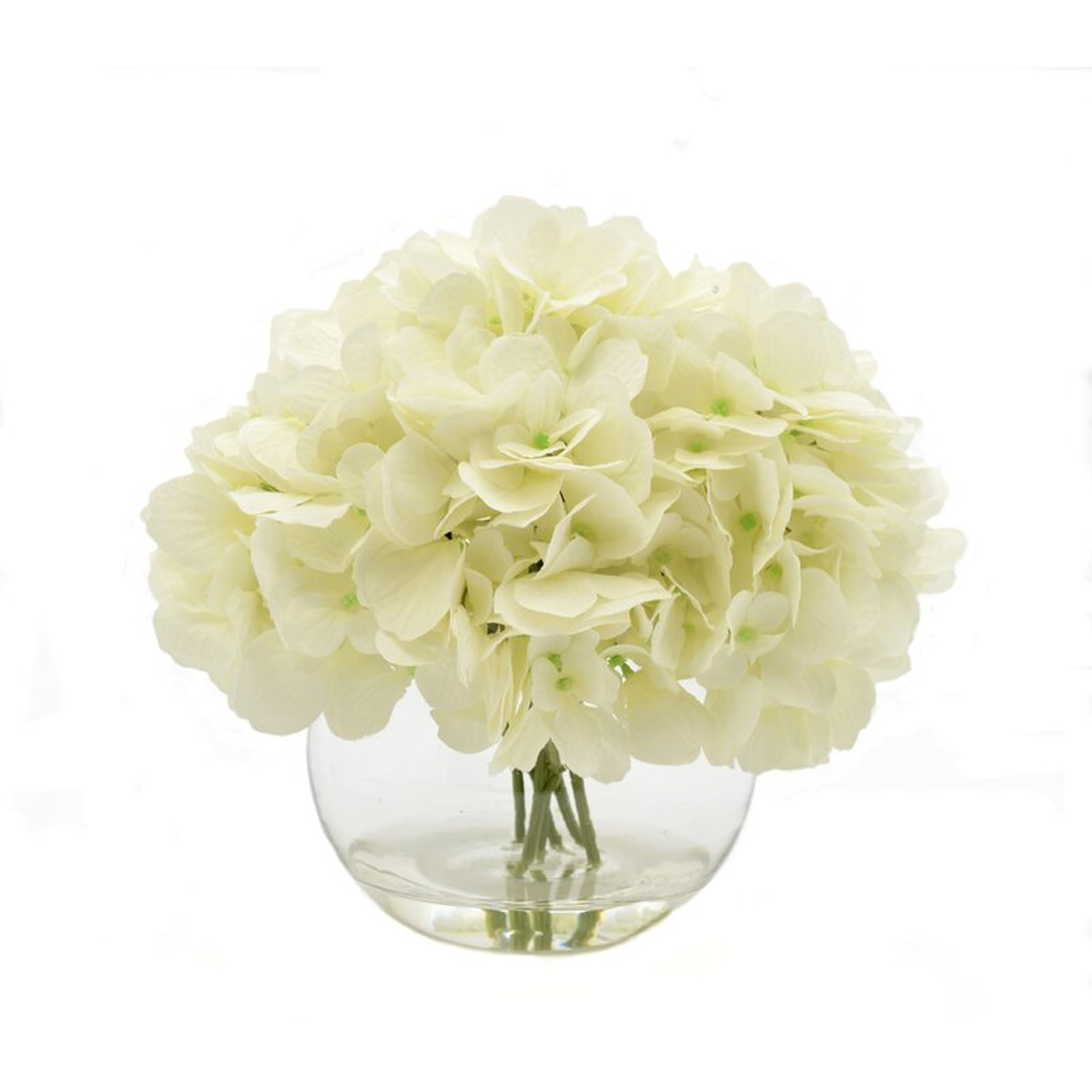 White Hydrangea Floral Arrangements - Wayfair
