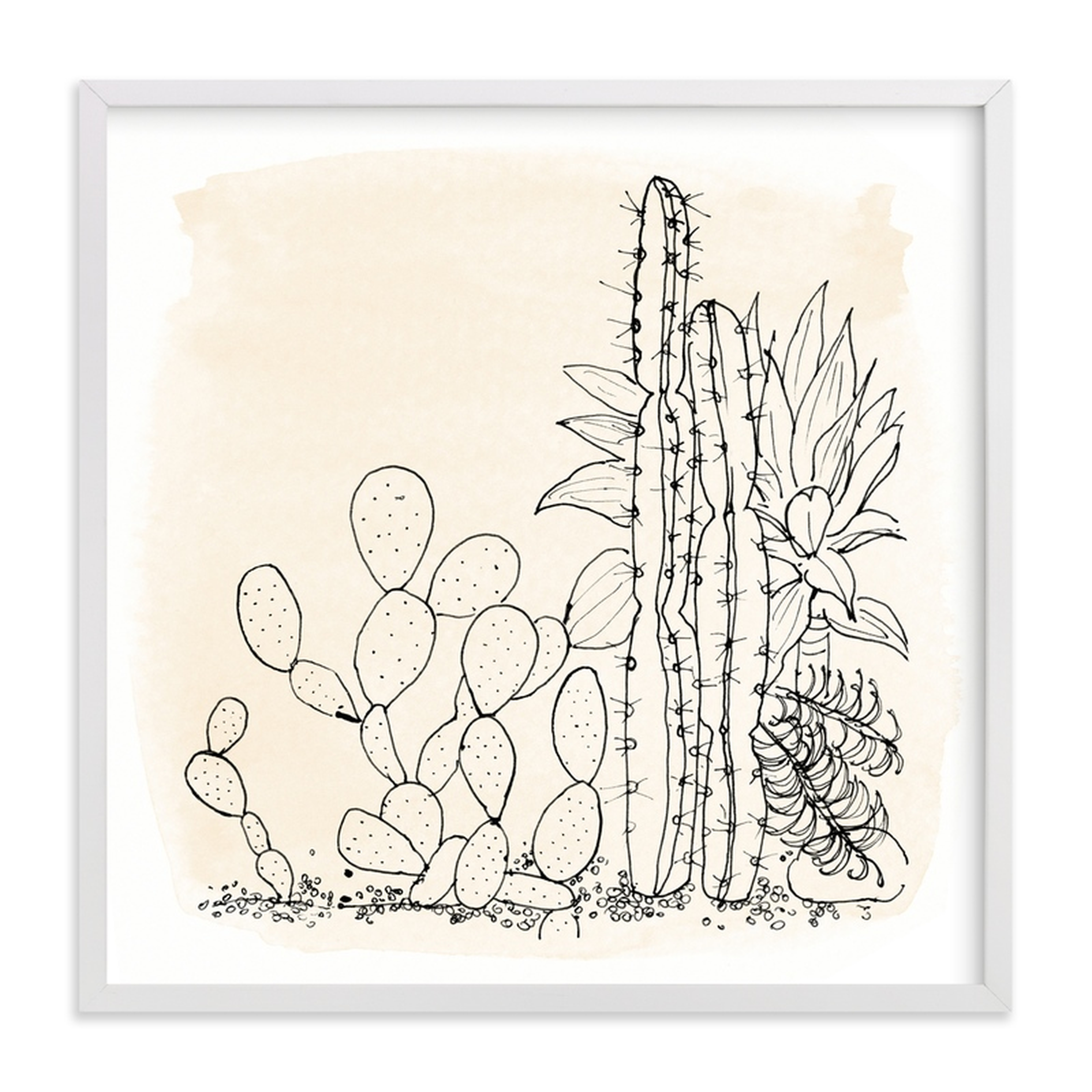 my cactus garden,16" X 16" - Minted
