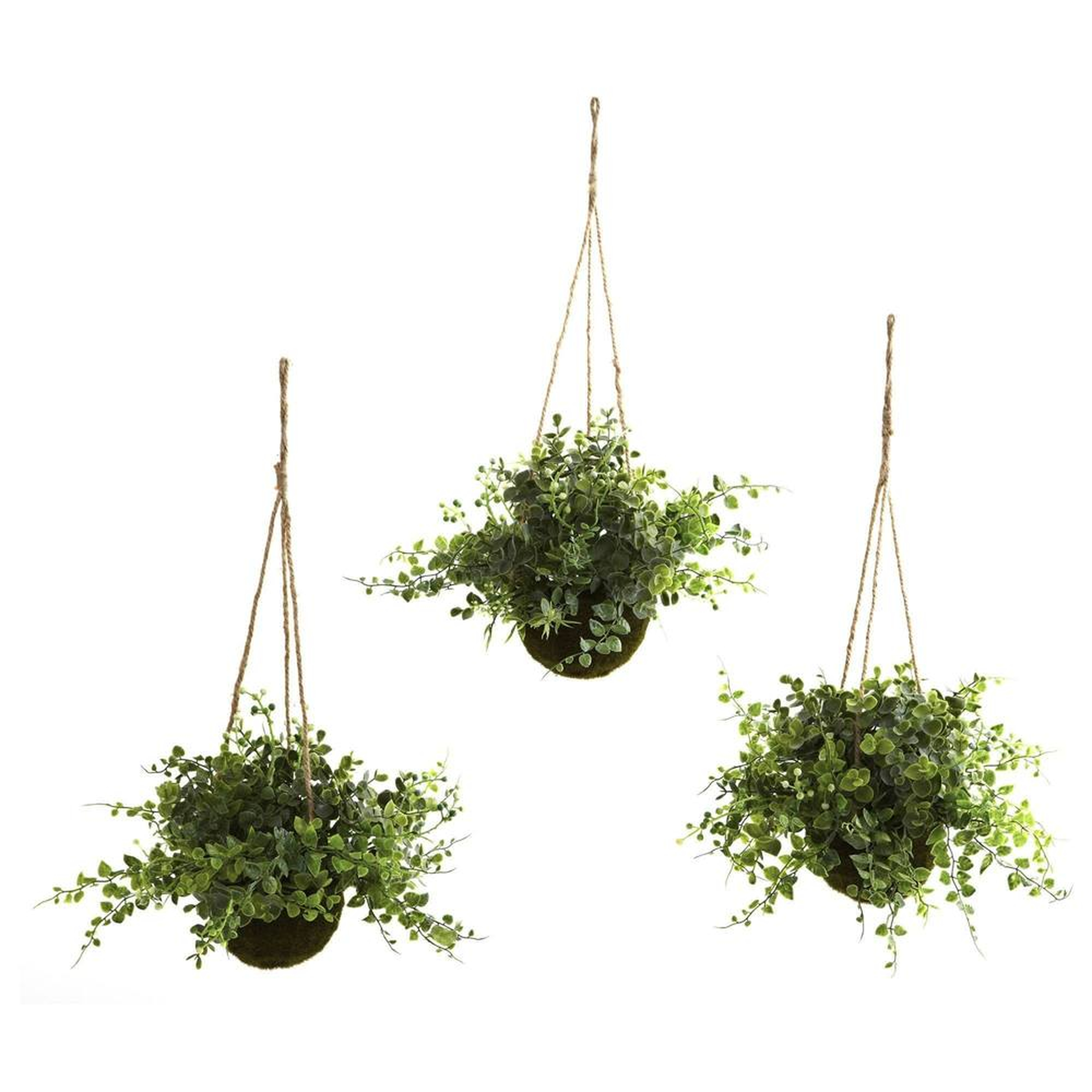 Eucalyptus, Maiden Hair & Berry Hanging Basket (Set of 3) - Fiddle + Bloom