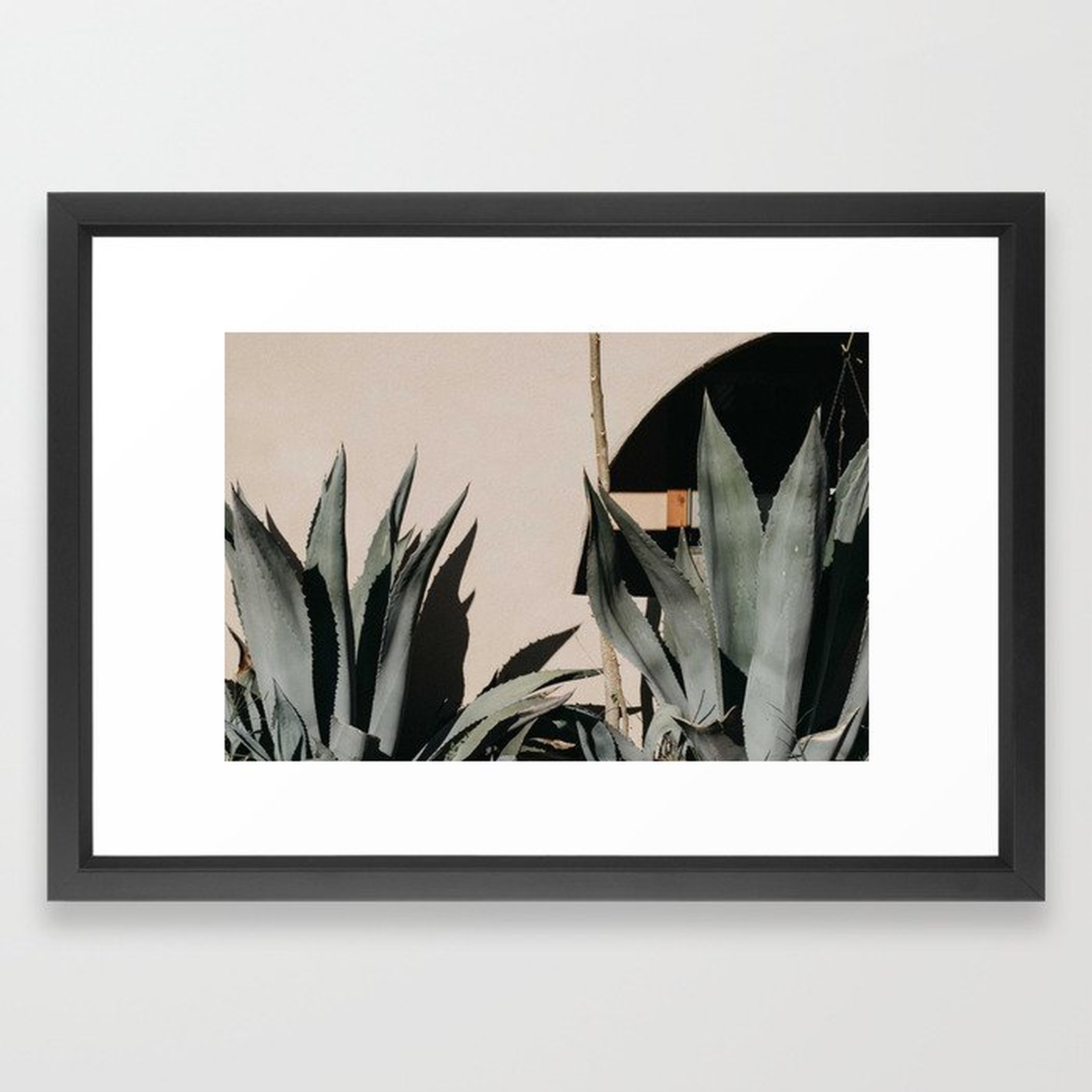 Cacti Framed Art Print - Society6