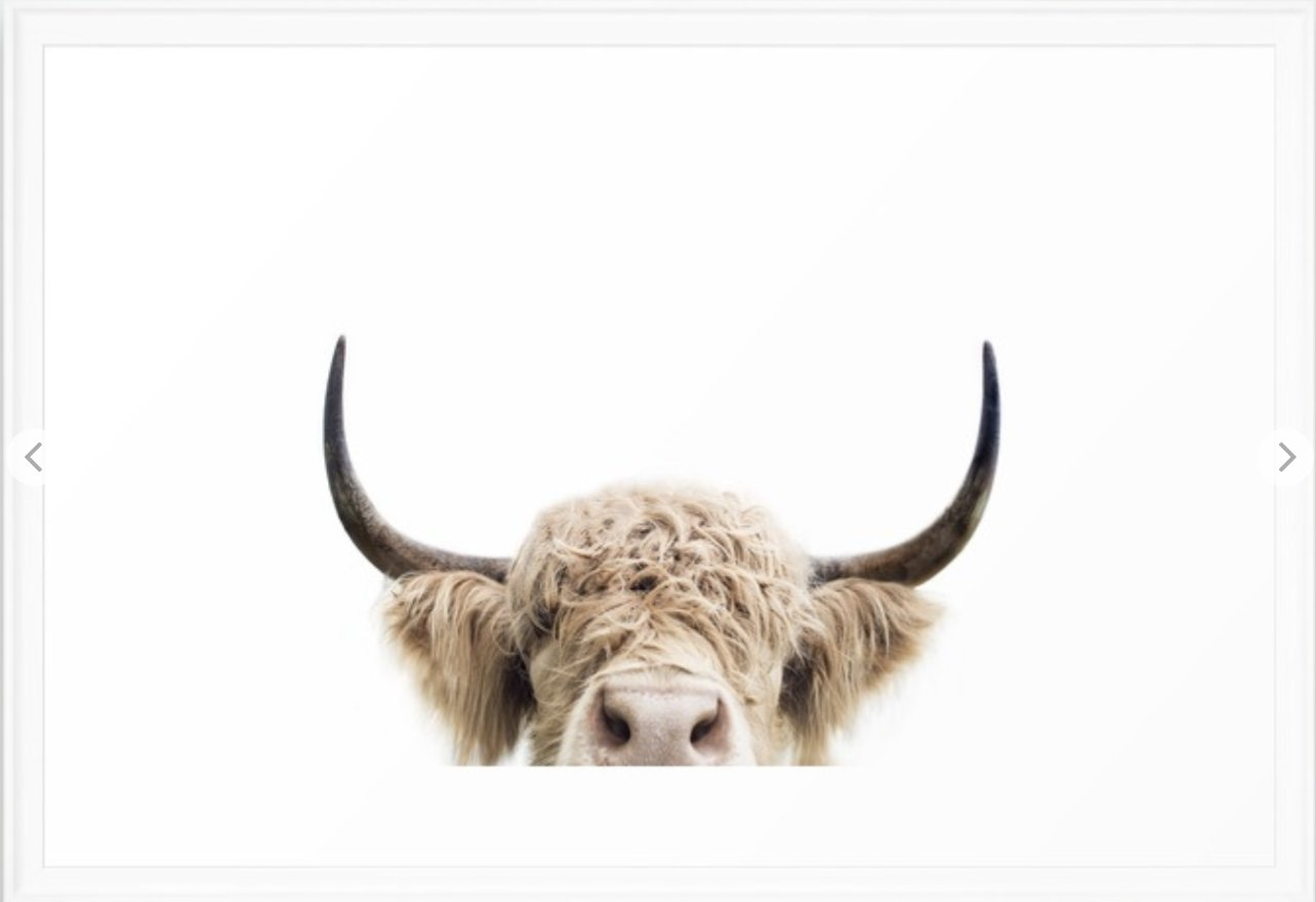 Peeking Highland Cow Framed Art Print - Society6