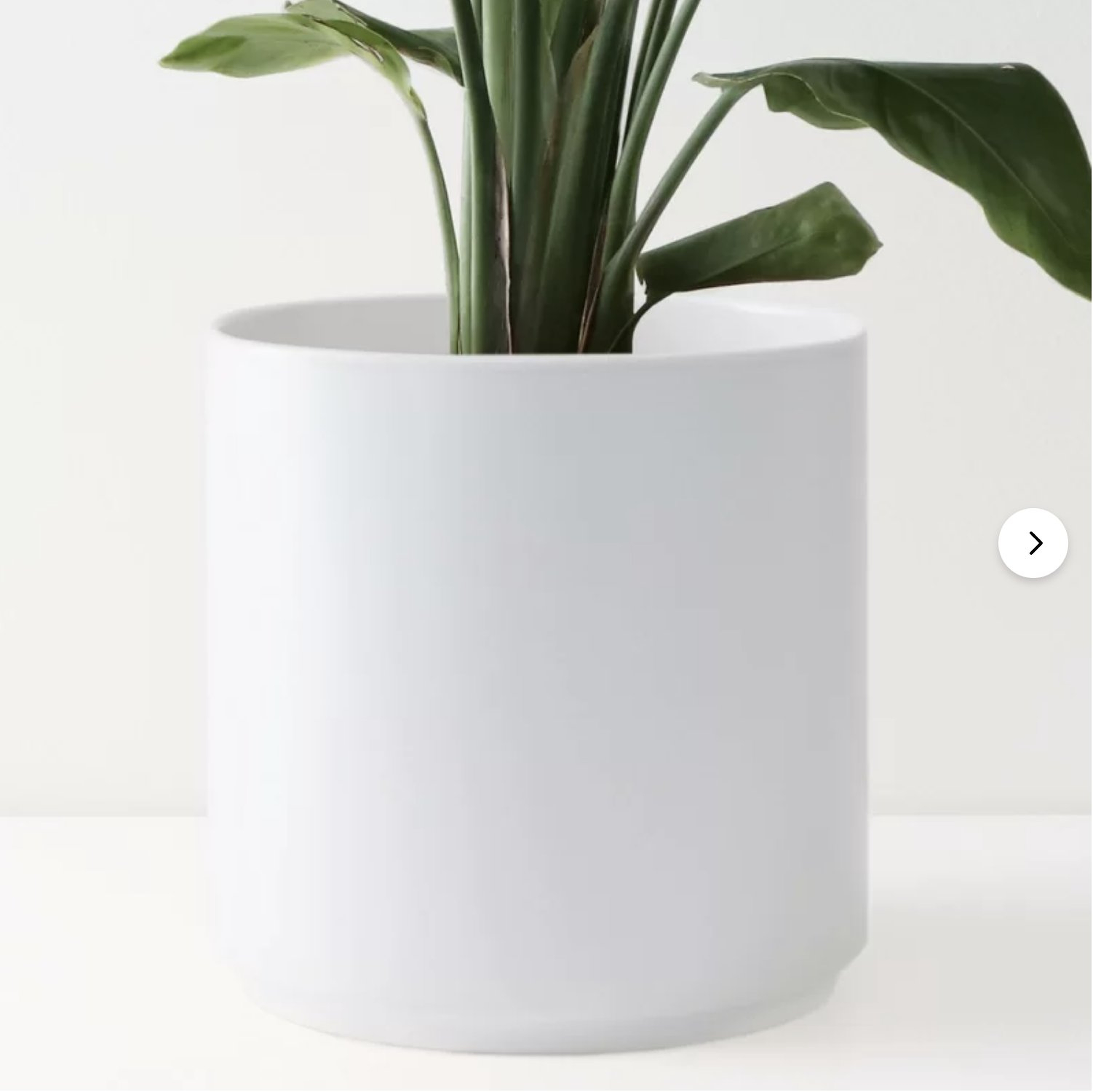 Peach & Pebble 10 Inch Modern Ceramic Planter, white - Wayfair