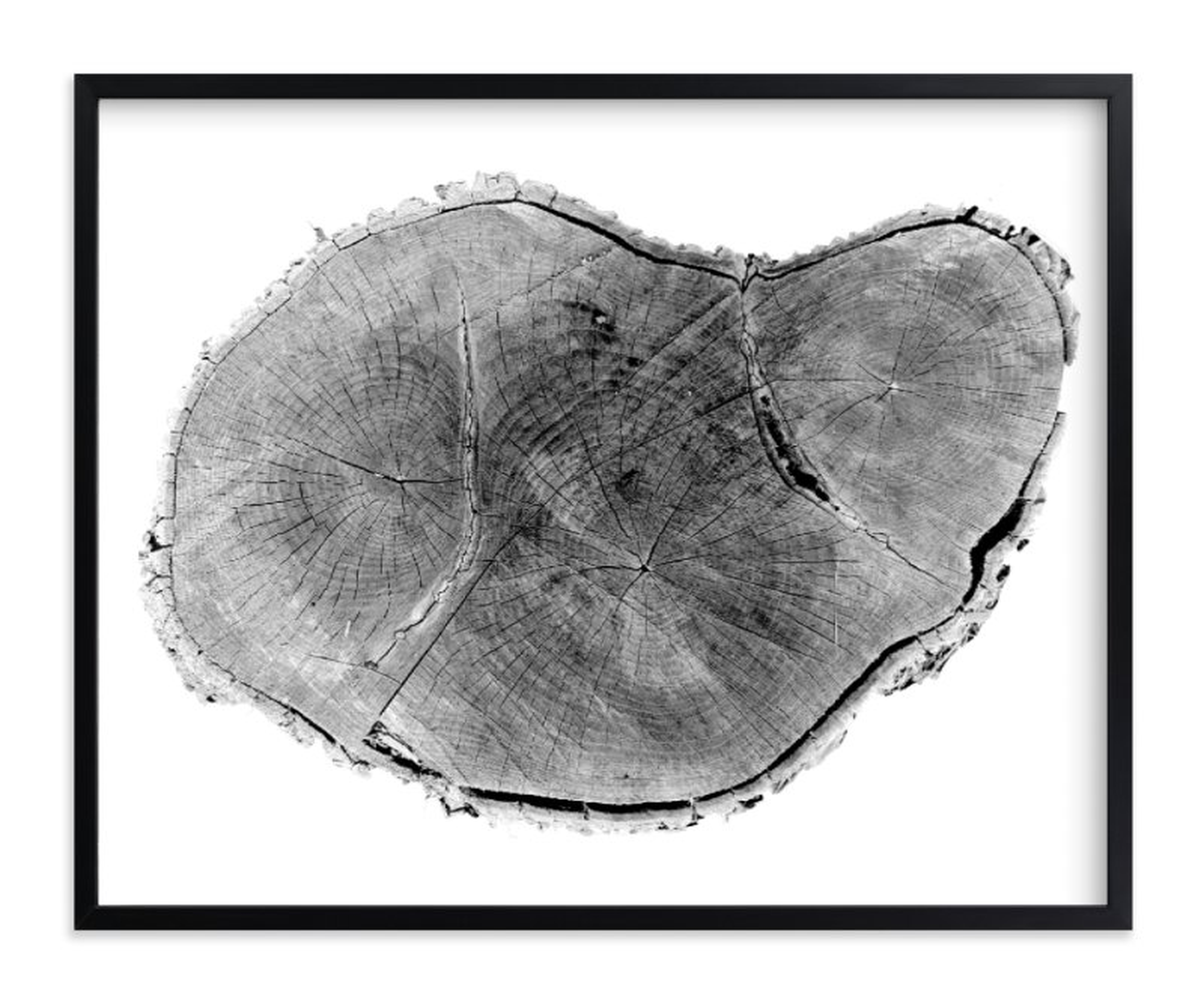 Tree Rings Pt. 1 Limited Edition Fine Art Print 1 - Minted
