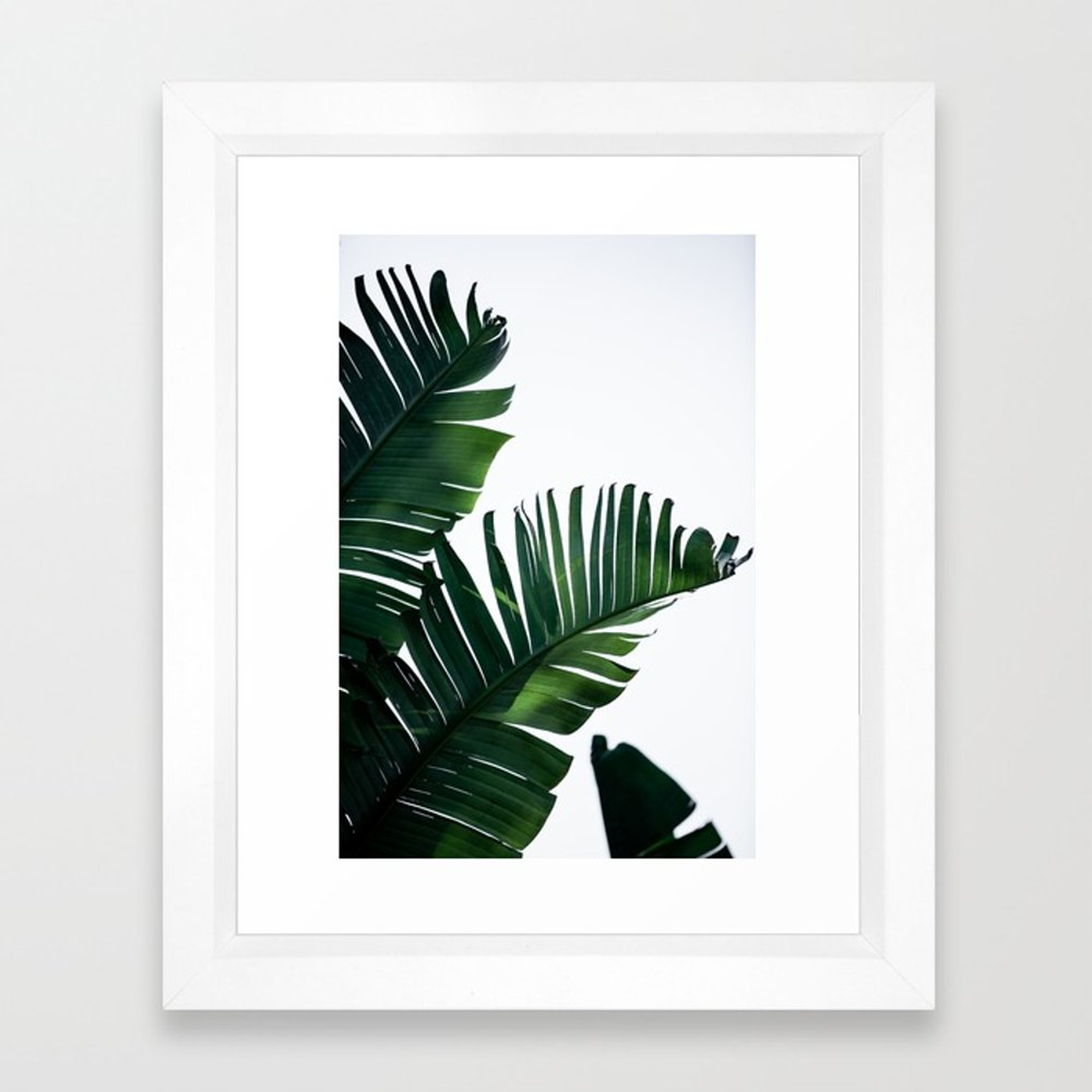 Palm Leaves 16 Framed Art Print by Maboe - Society6