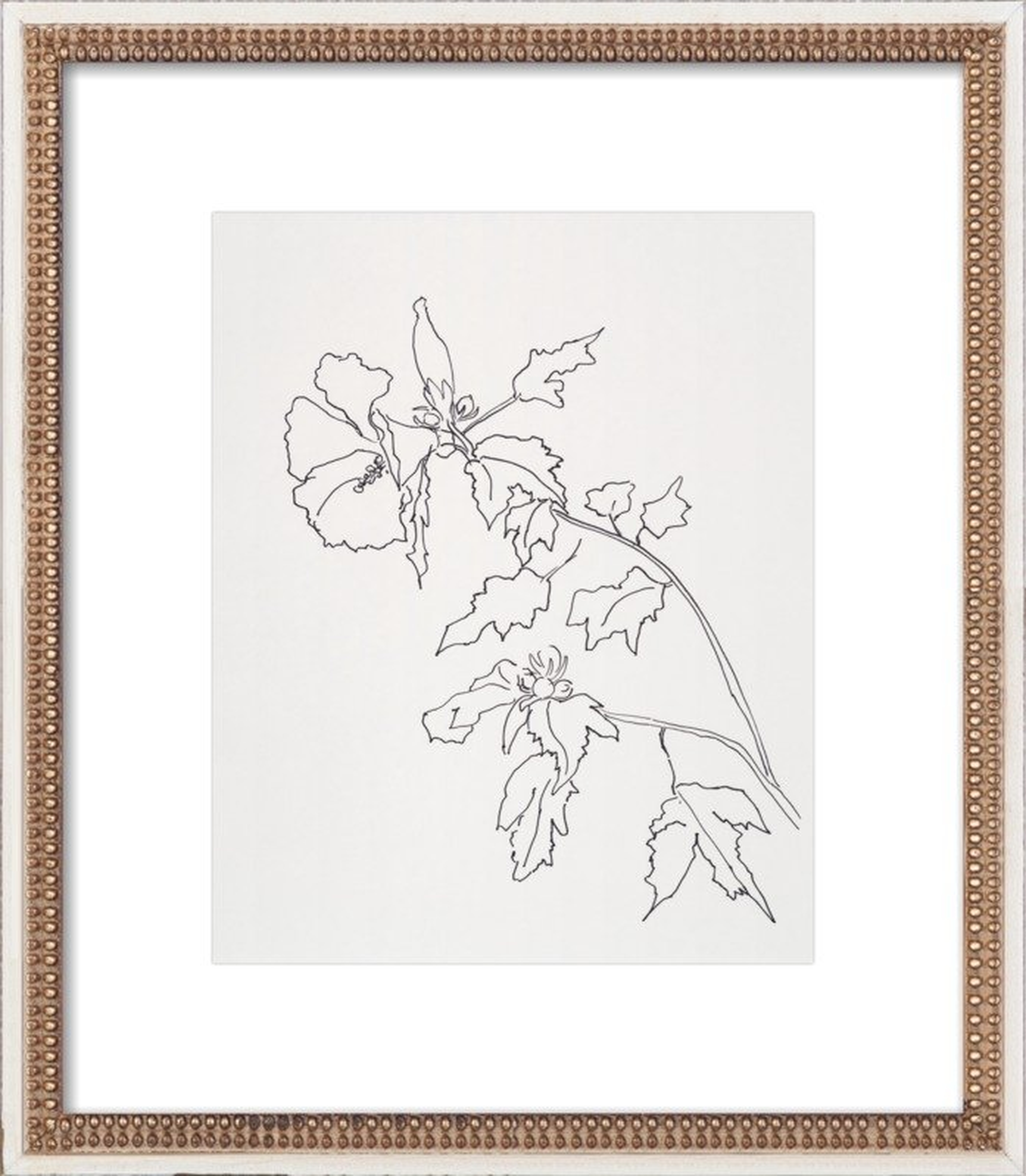 Rose of Sharon Flower  BY CASEY CHALEM ANDERSON - Artfully Walls