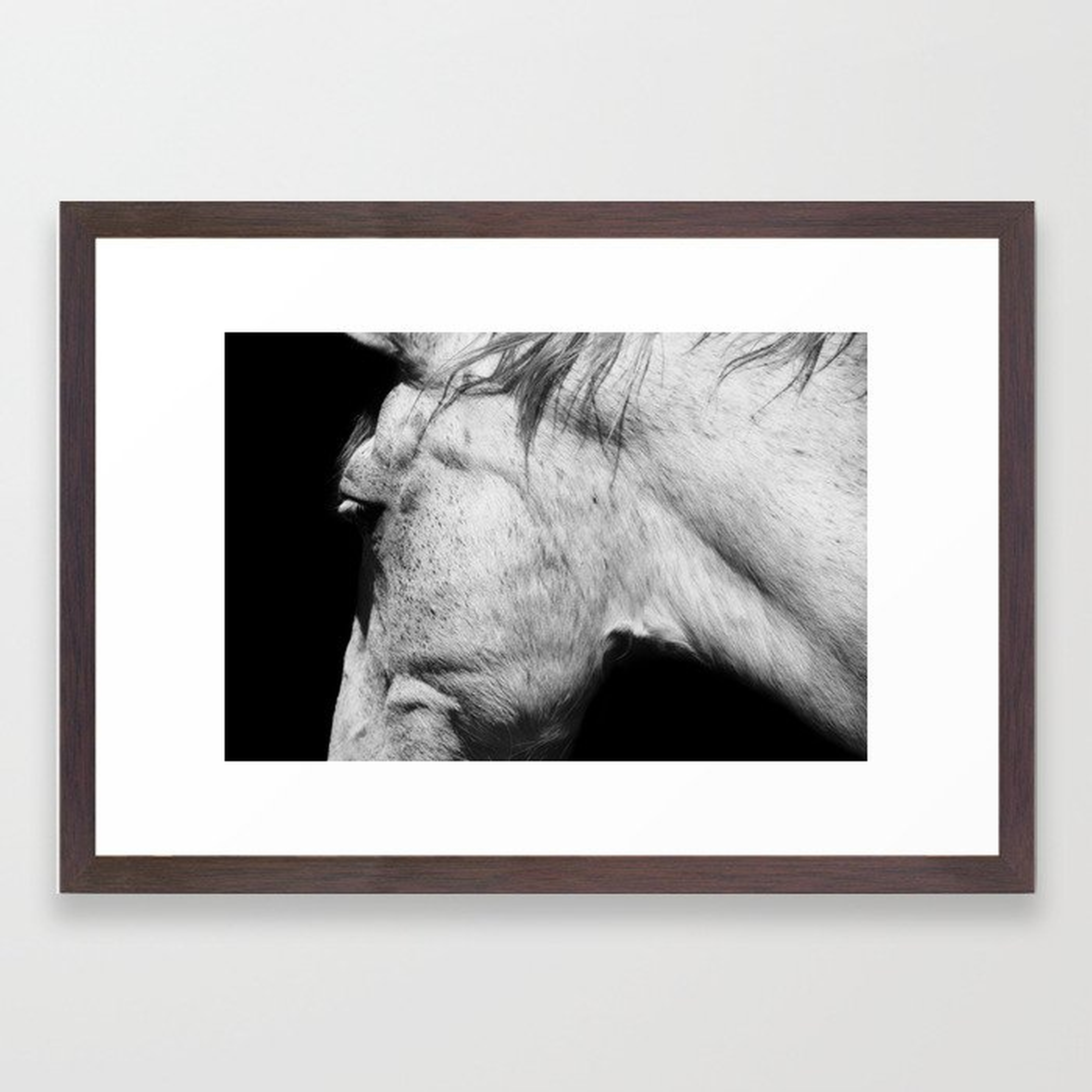 Casper | Animals | Horse Photography | black-white | nature Framed Art Print - Society6
