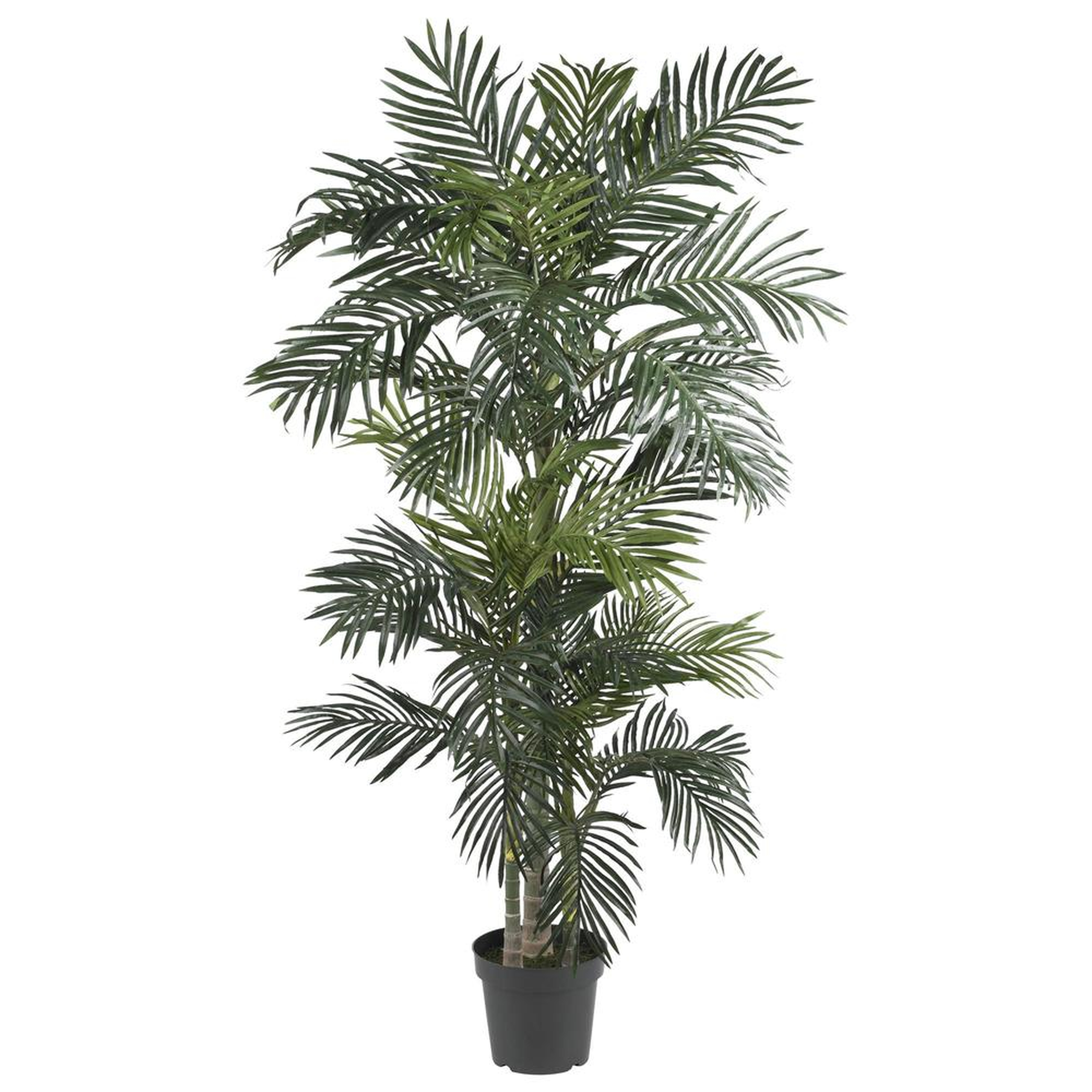 6.5’ Silk/Artificial Tree - Fake Golden Cane Palm - Fiddle + Bloom