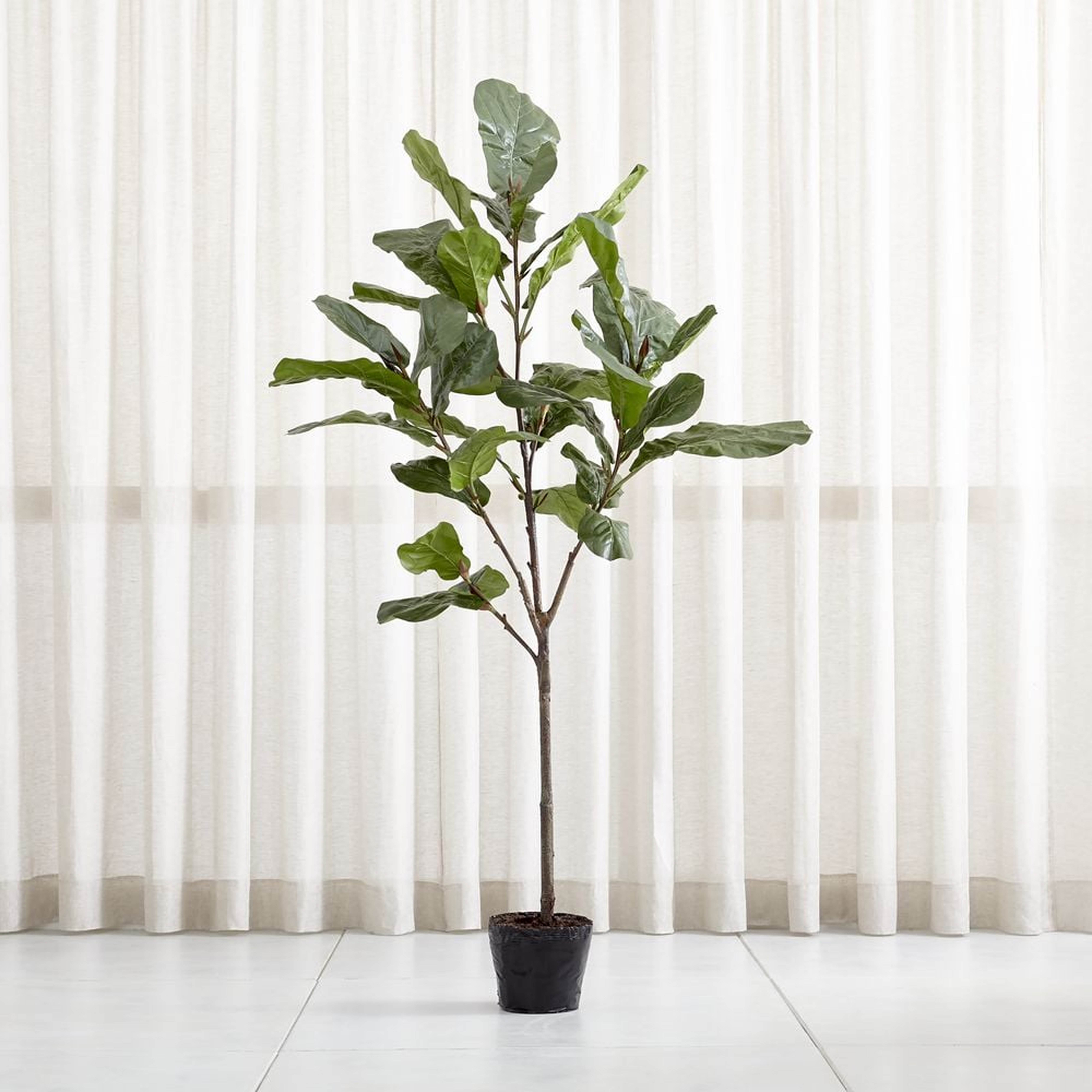 Faux 7' Fiddle Leaf Fig Tree - Crate and Barrel