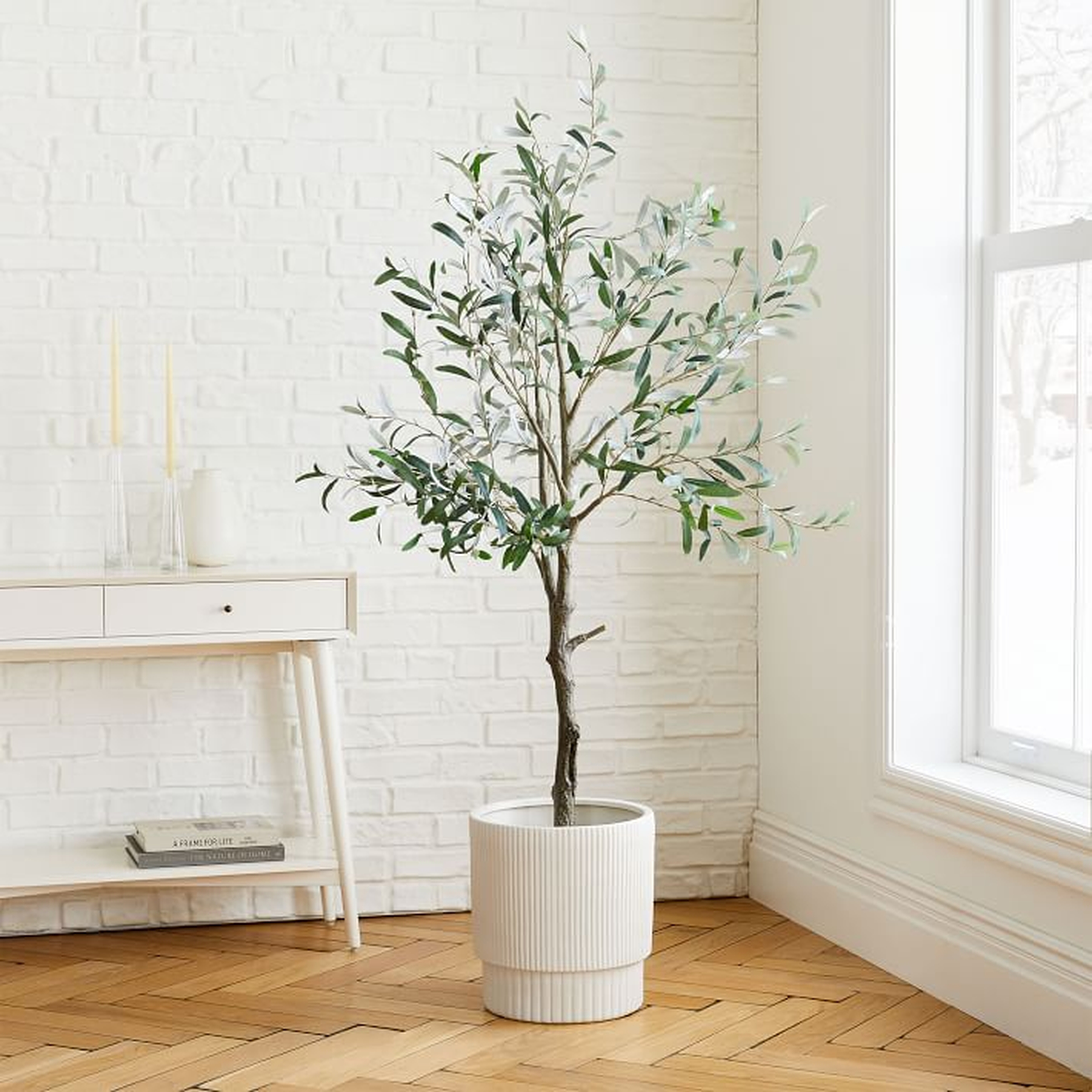 Olive Tree & Large White Fluted Planter Bundle - West Elm