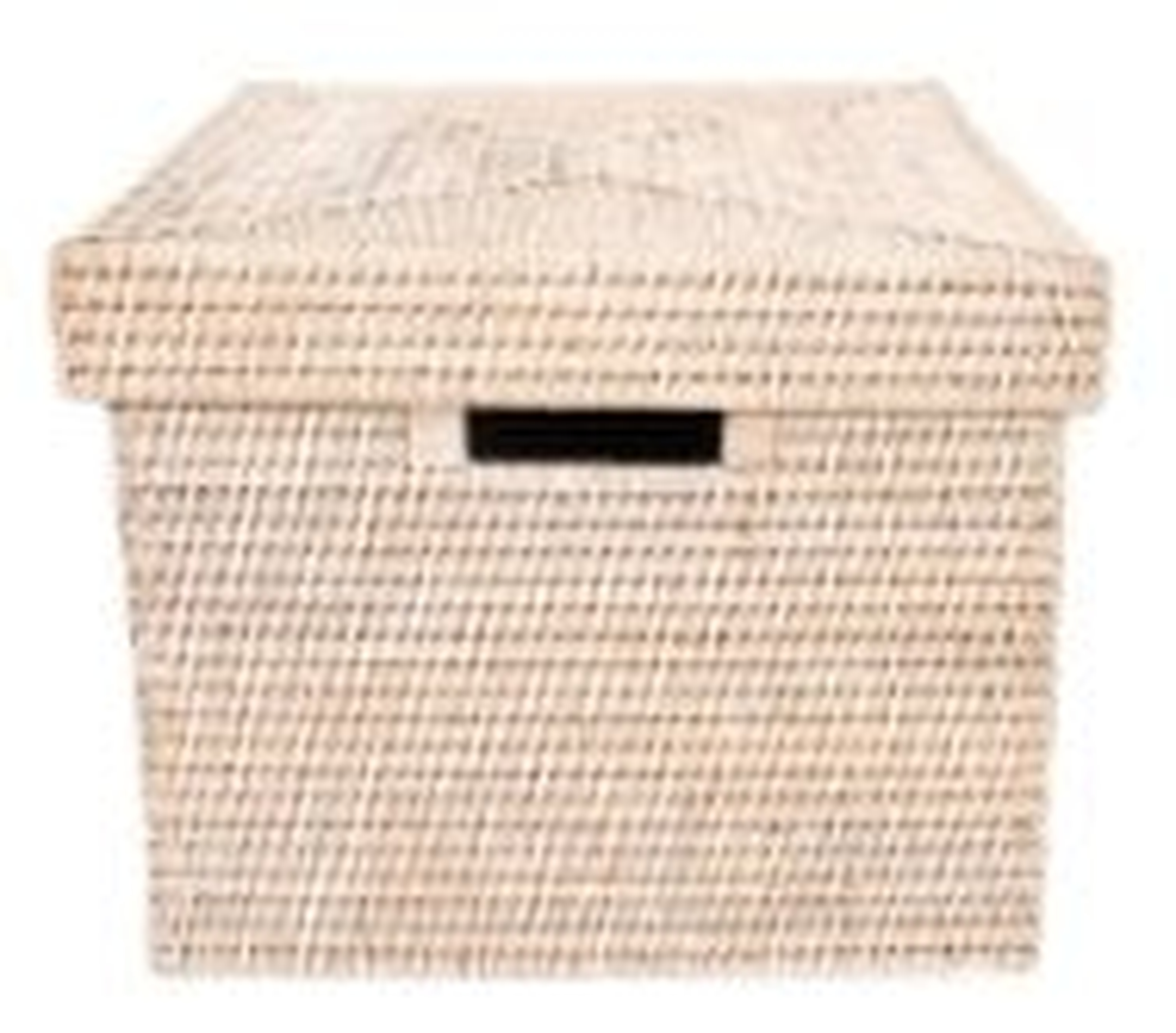Rattan File Box with Lid and Cutout Handles- White Wash - Wayfair