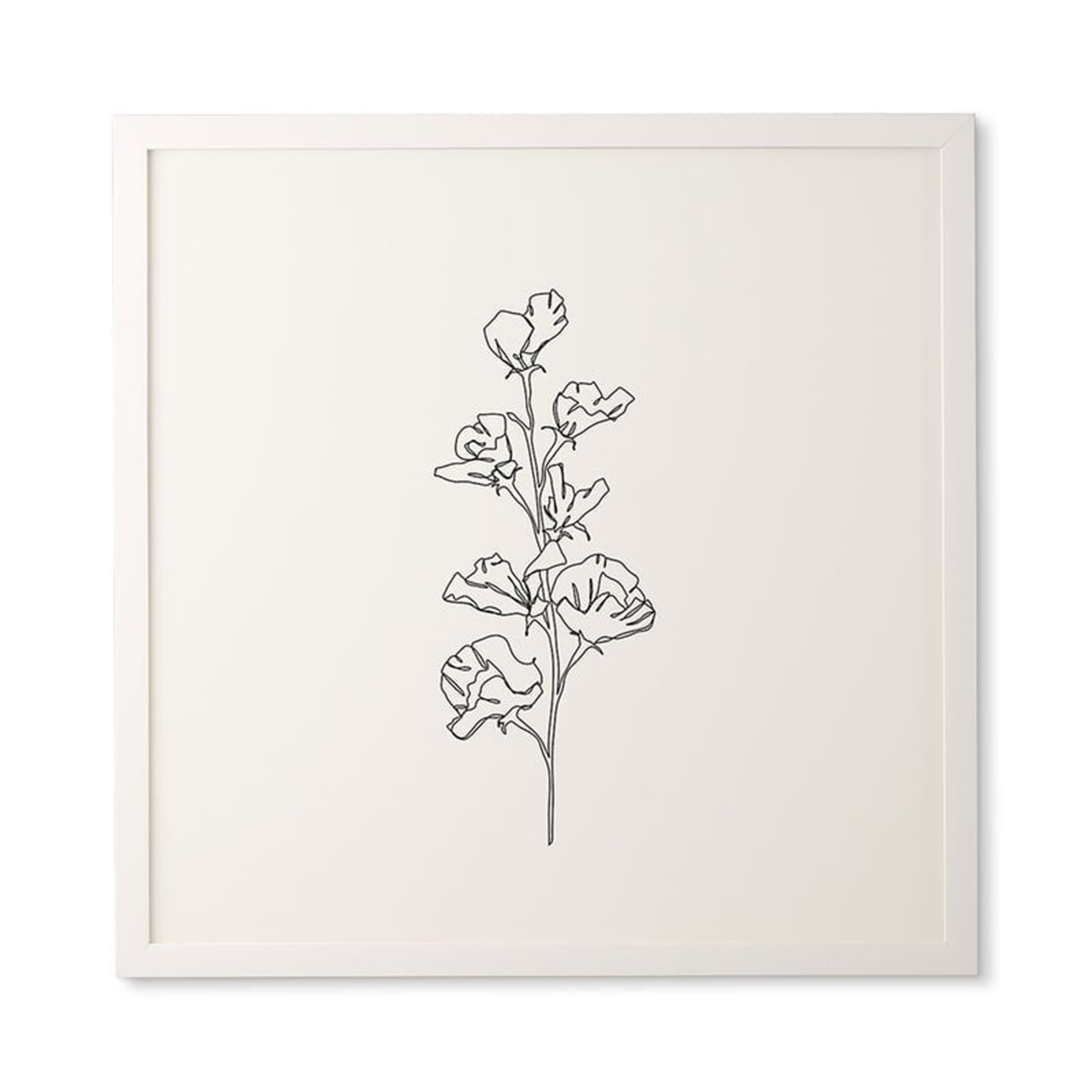 FRAMED WALL ART COTTON FLOWER ILLUSTRATION  BY THE COLOUR STUDY - Wander Print Co.