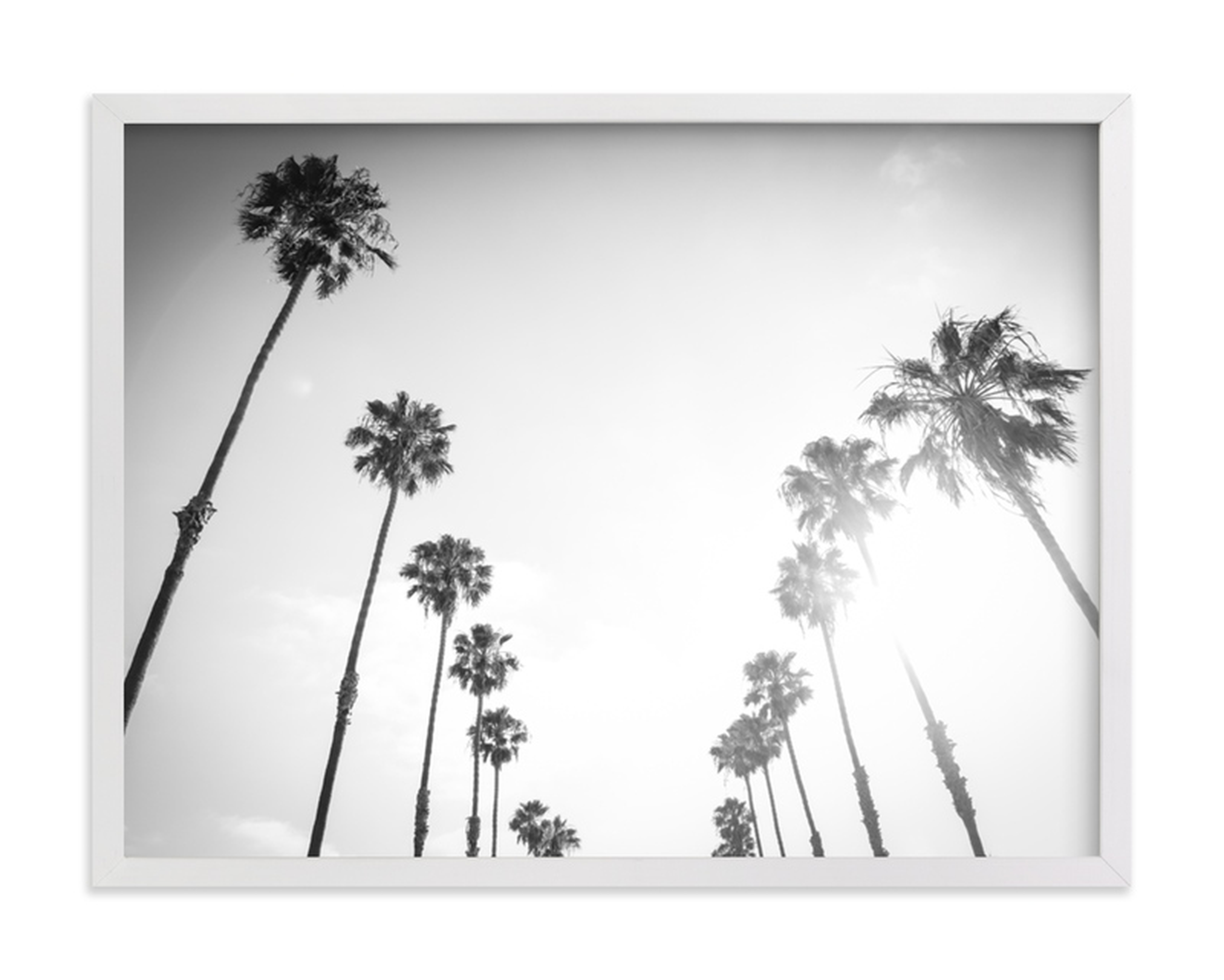 California Palms - Minted