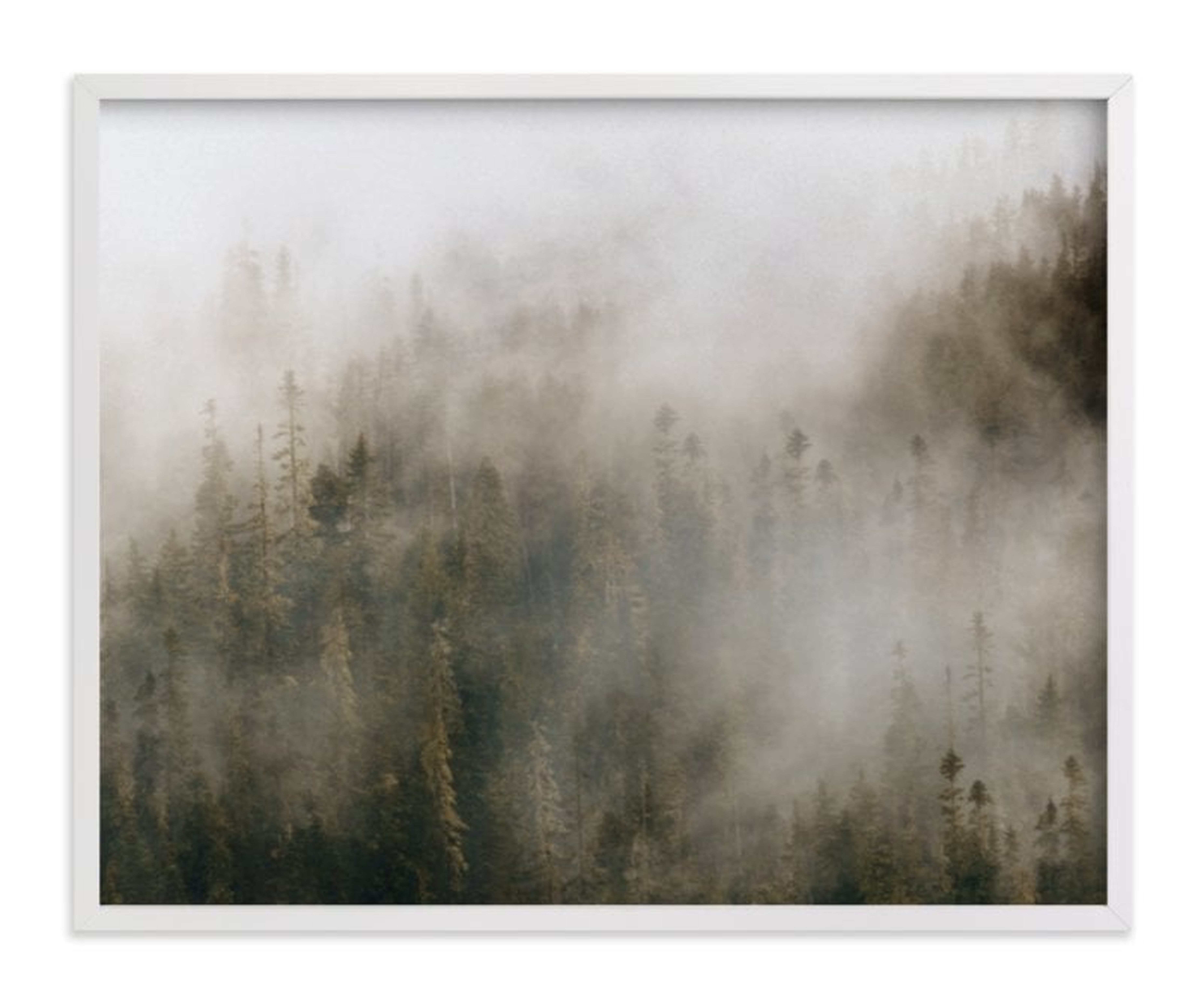 pacific north fog - 20x16 - white wood frame - Minted