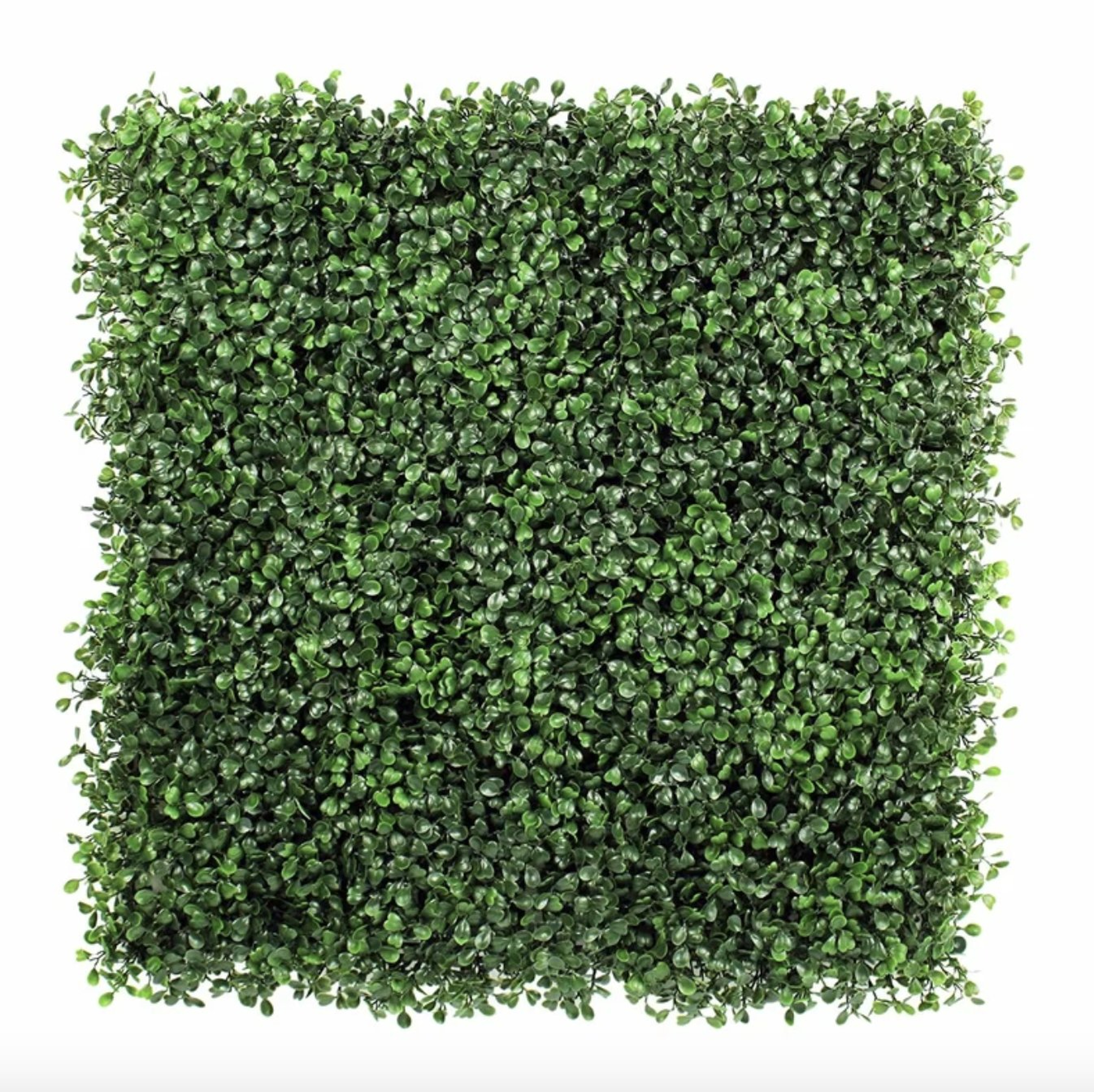 1.5 ft. H x 1.5 ft. W Artificial Wall Hedge Privacy Screen (Set of 24) - Wayfair