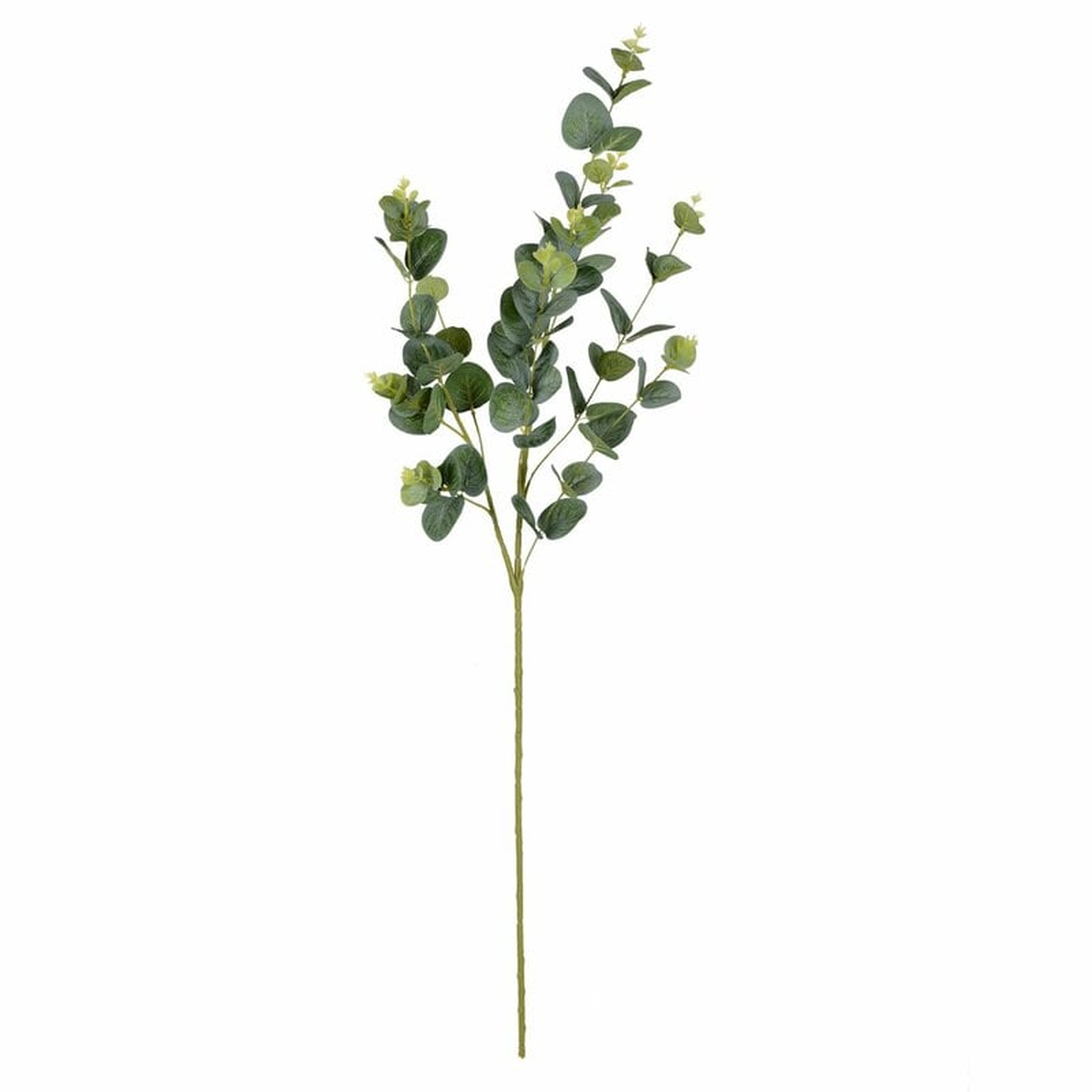 20'' Faux Eucalyptus Branch (Set of 4) - Wayfair