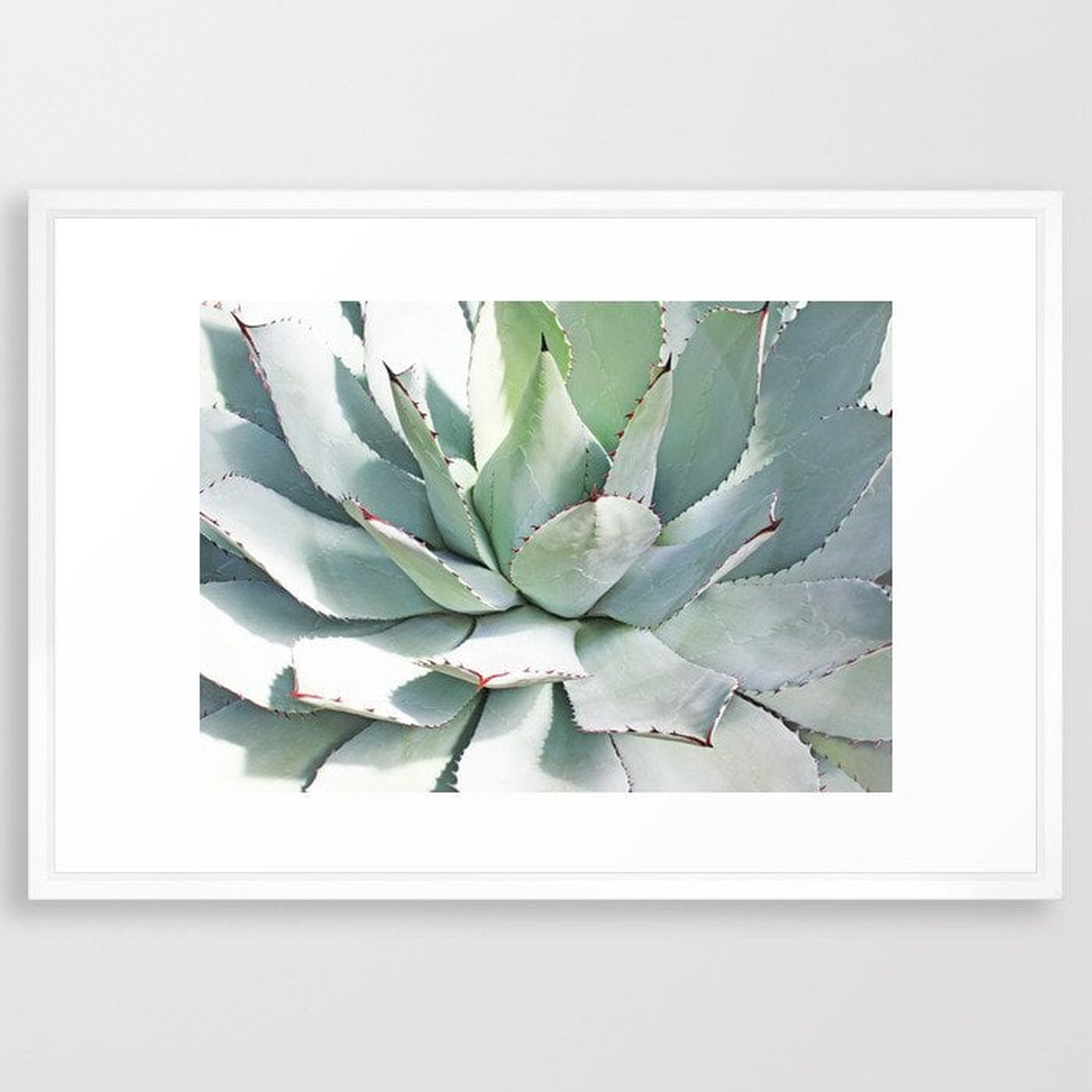 Agave plant Framed Art Print -Large (gallery) - 26" X 38" - Society6