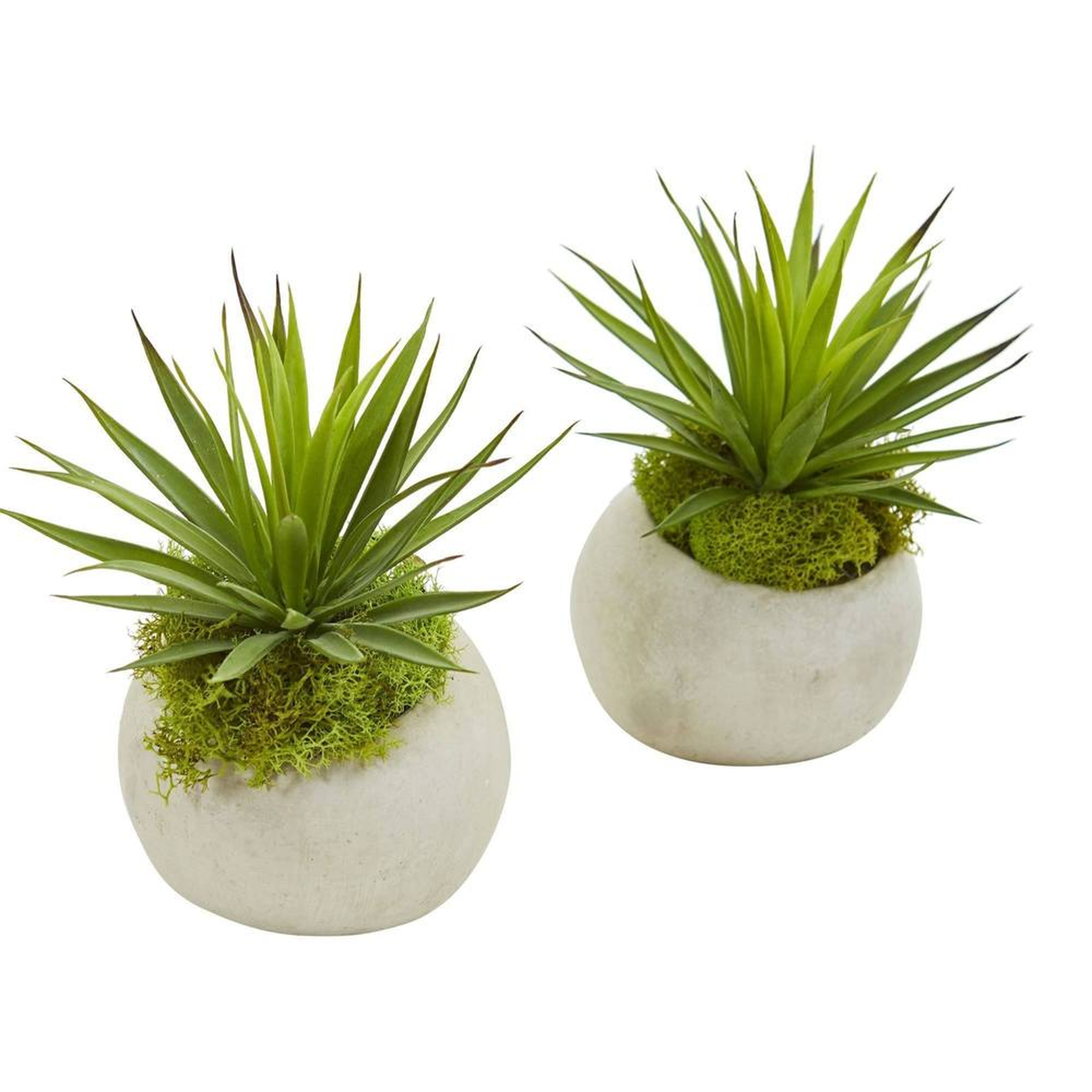 Spiky Agave Artificial Plant in Planter (Set of 2) - Fiddle + Bloom