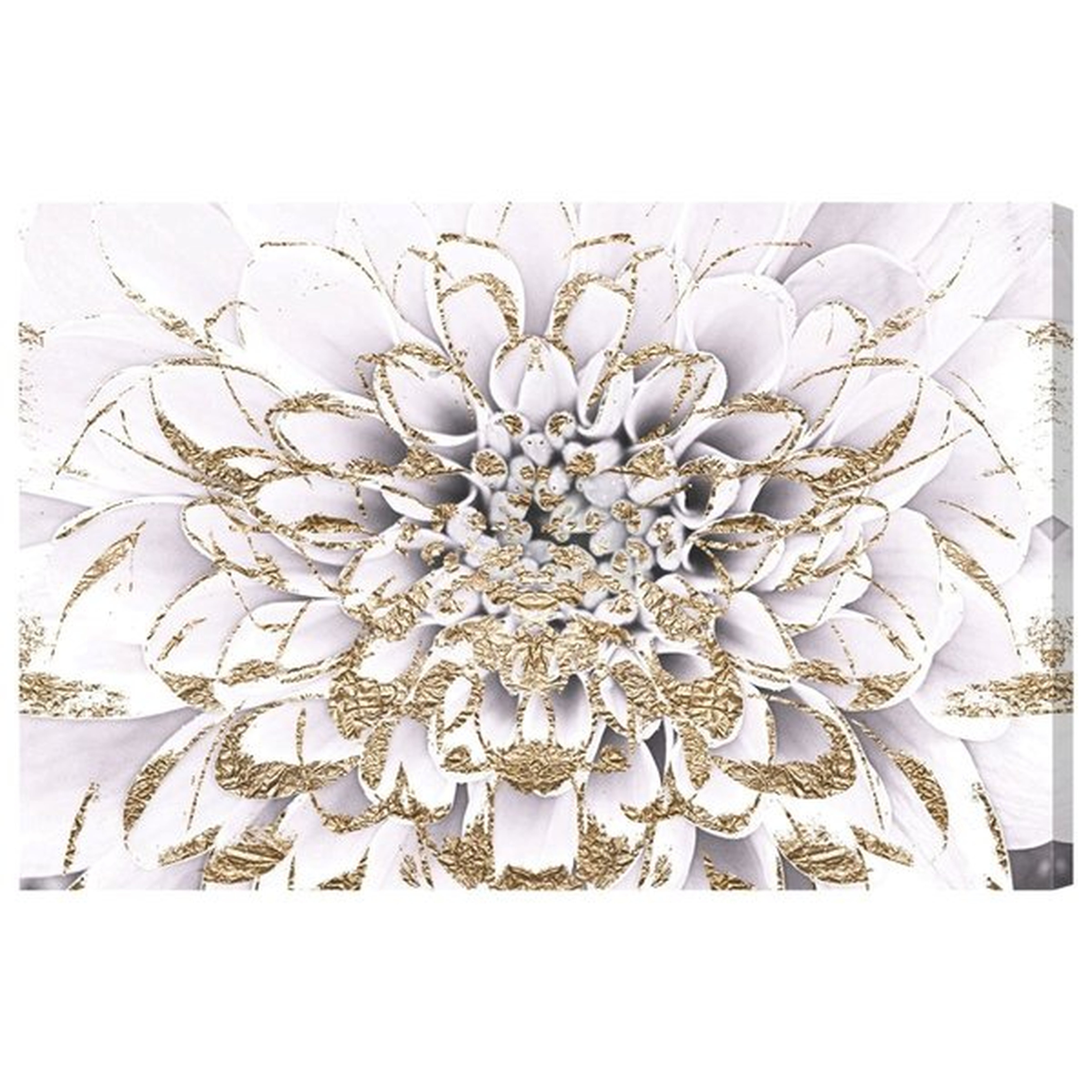 'Floralia Blanc Floral and Botanical Art' Graphic Art on Canvas in White/Gold/Yellow - Wayfair