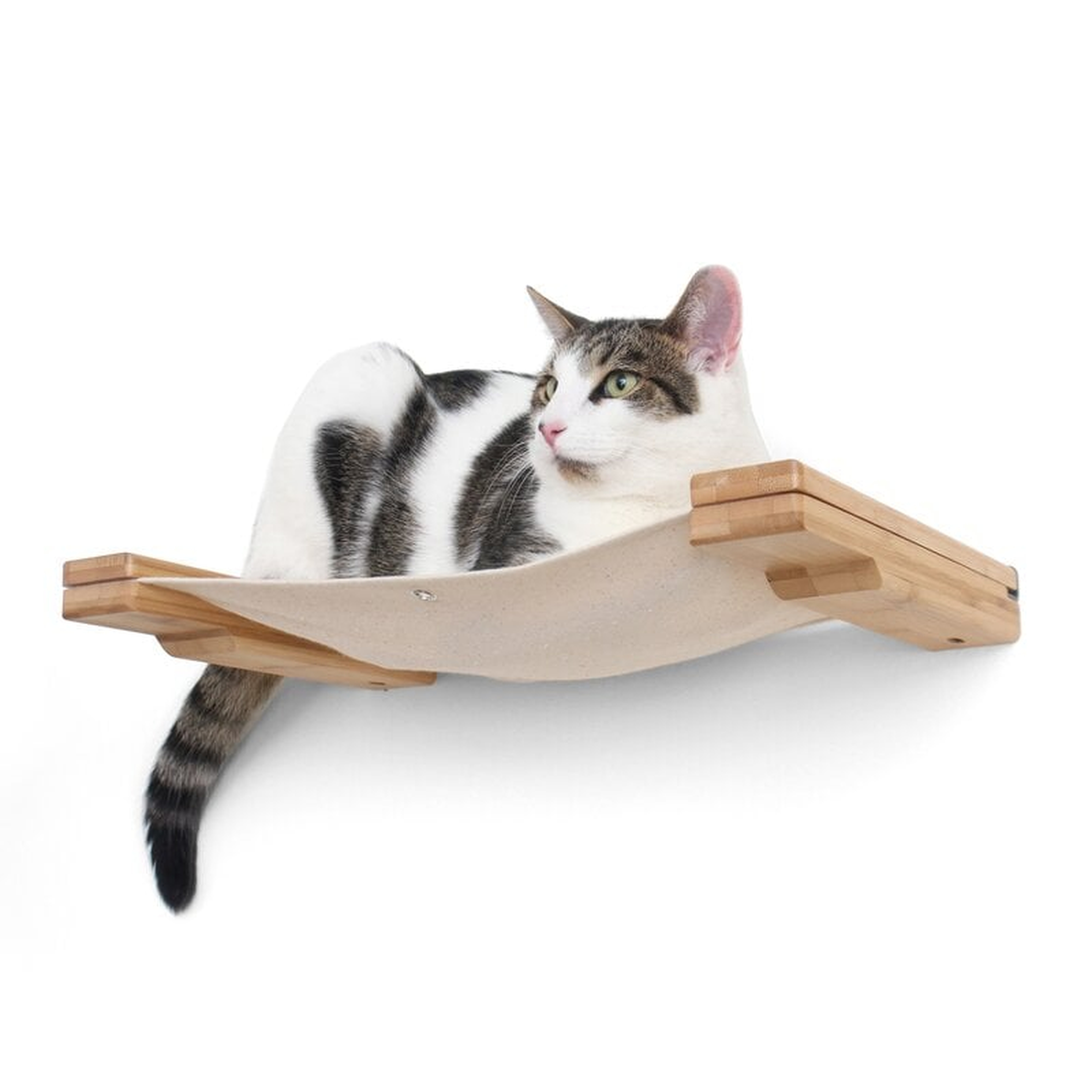 3" Stagg Lounge Handcrafted Cat Perch - Wayfair