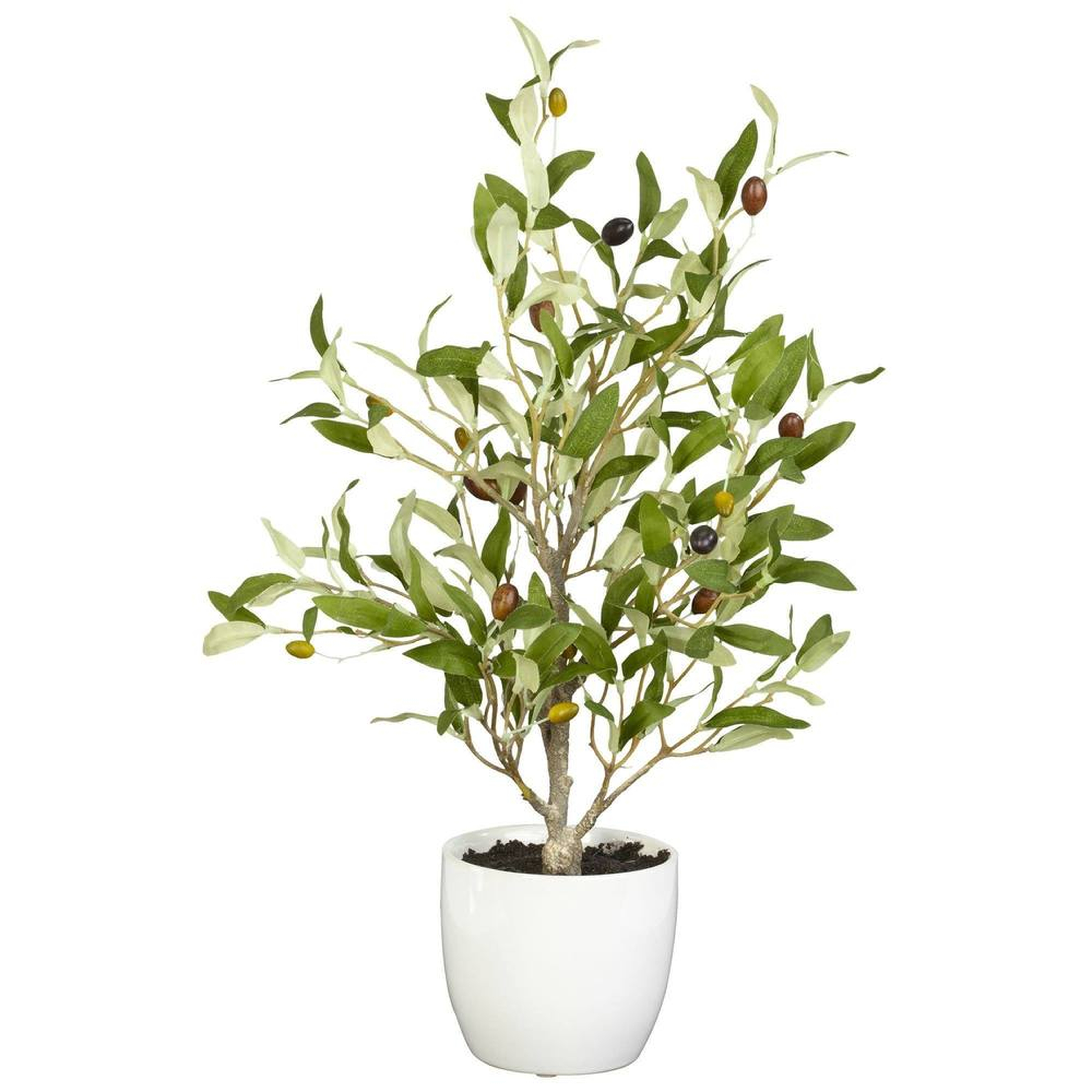 Olive Silk Tree with White Vase, 18", Set of 2 - Fiddle + Bloom