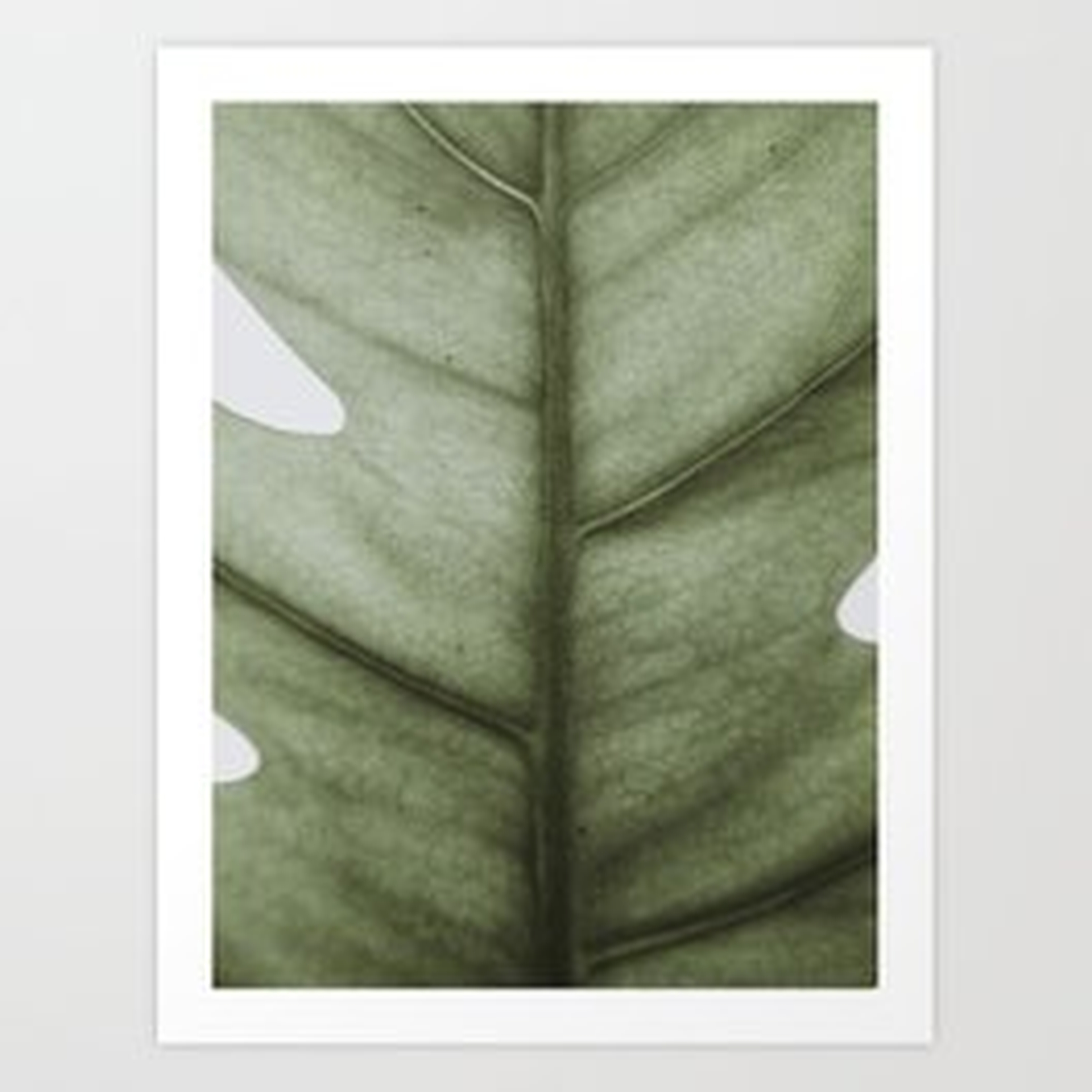 Monstera, Leaf, Plant, Tropical, Scandinavian, Minimal, Modern, Wall art Framed Art Print - Society6