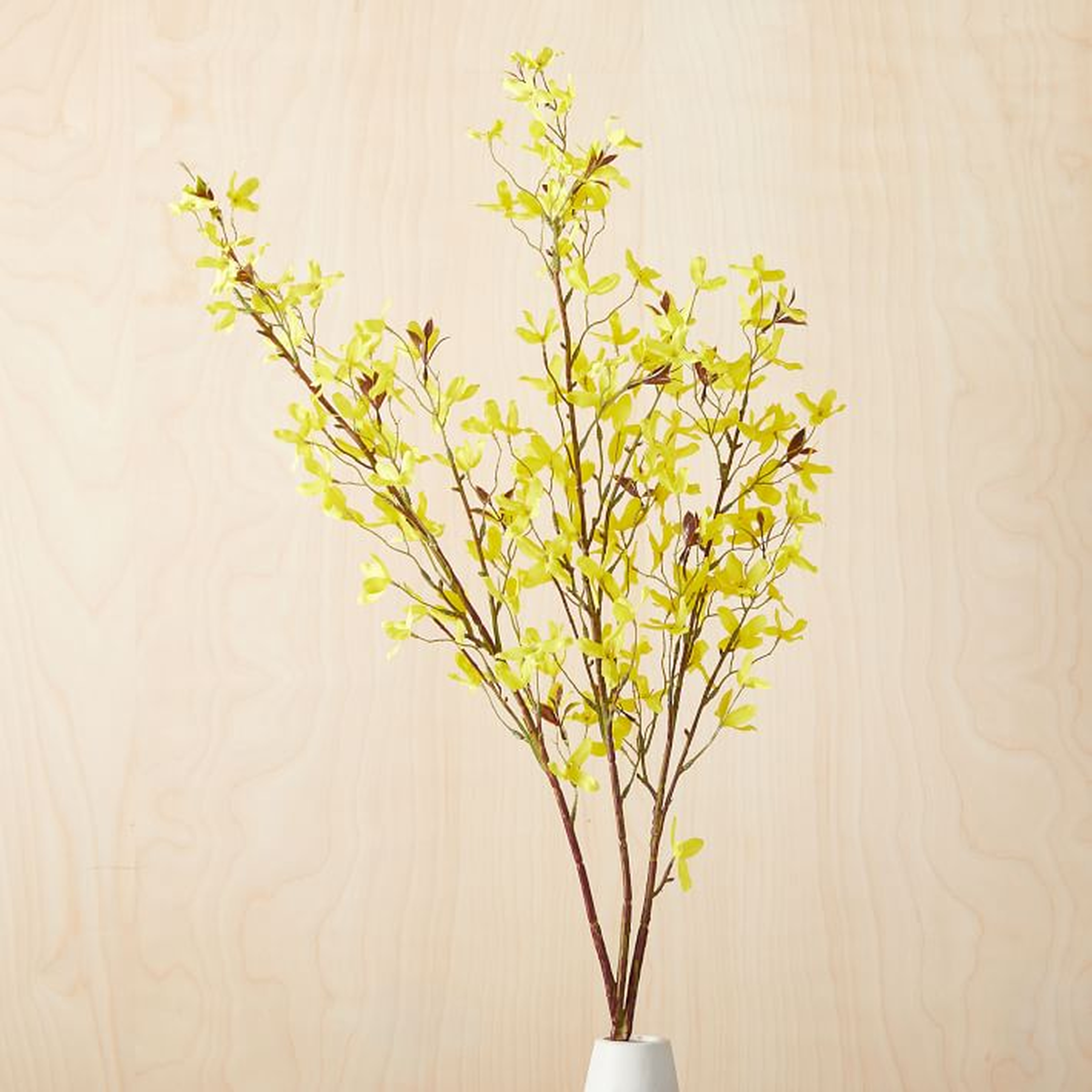 Faux Yellow Forsythia Tree Branch - West Elm