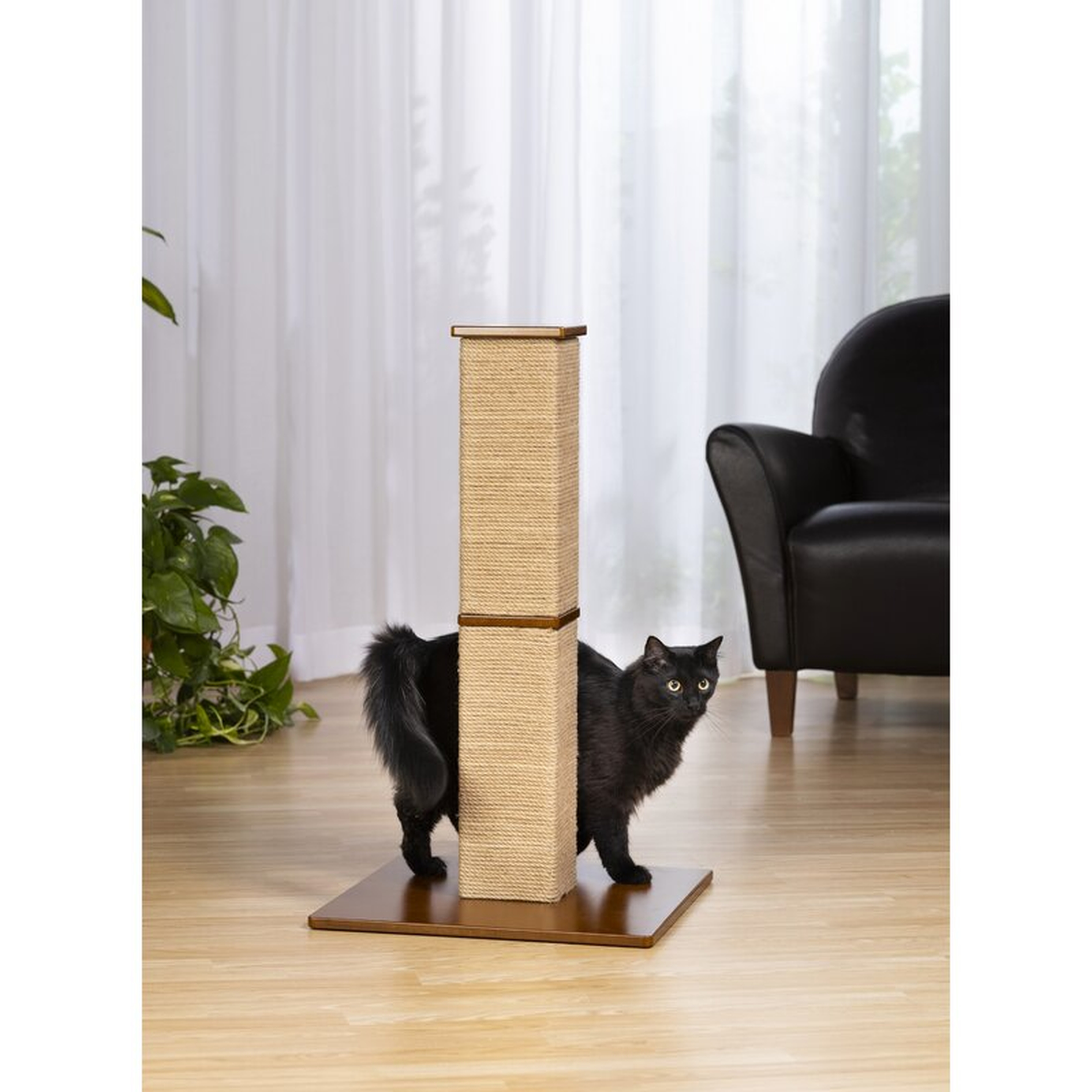 Borrego Scratching Post - Wayfair
